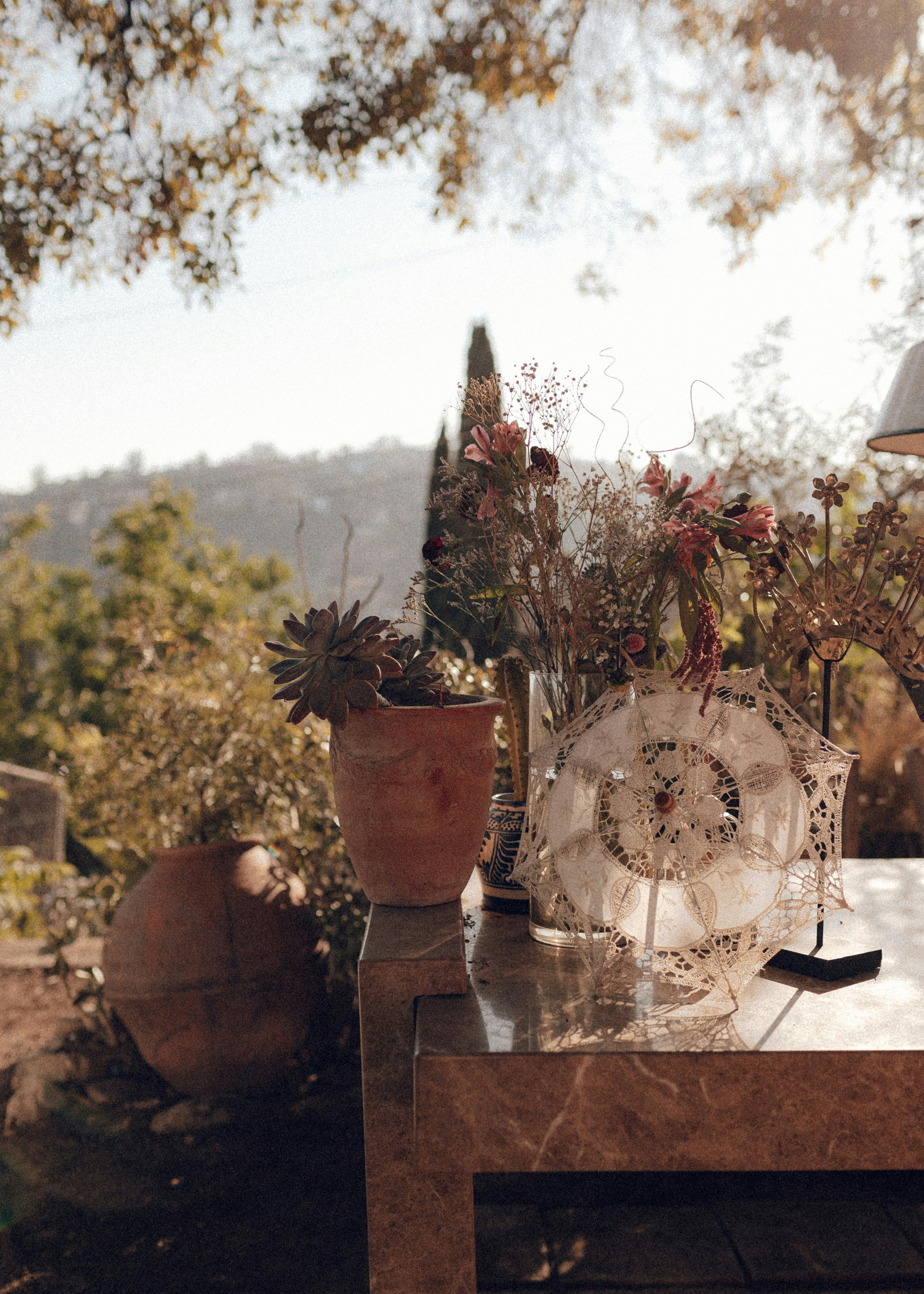 Planta verde y roja en maceta marrón sobre mesa de madera marrón