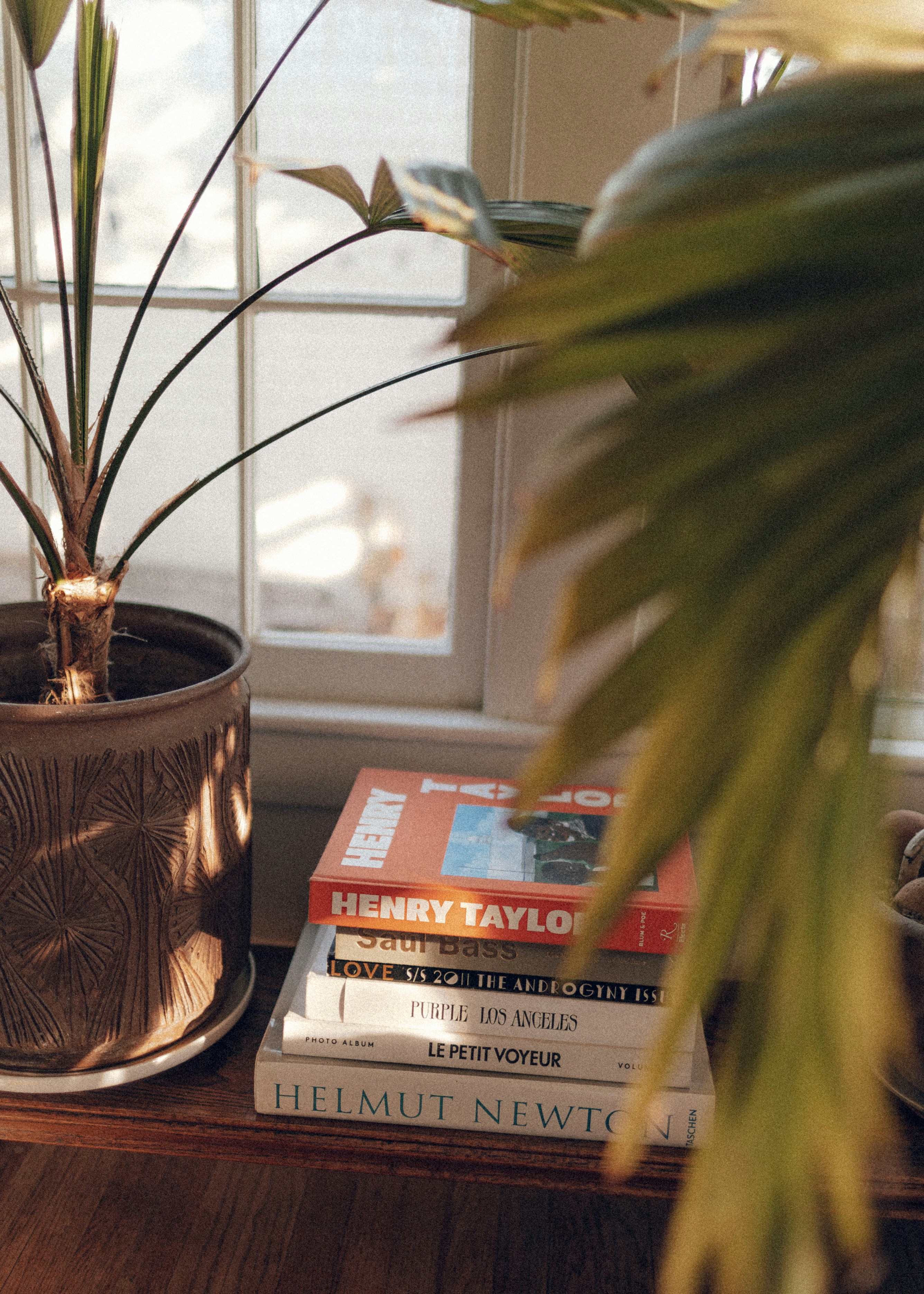 Planta verde en maceta marrón