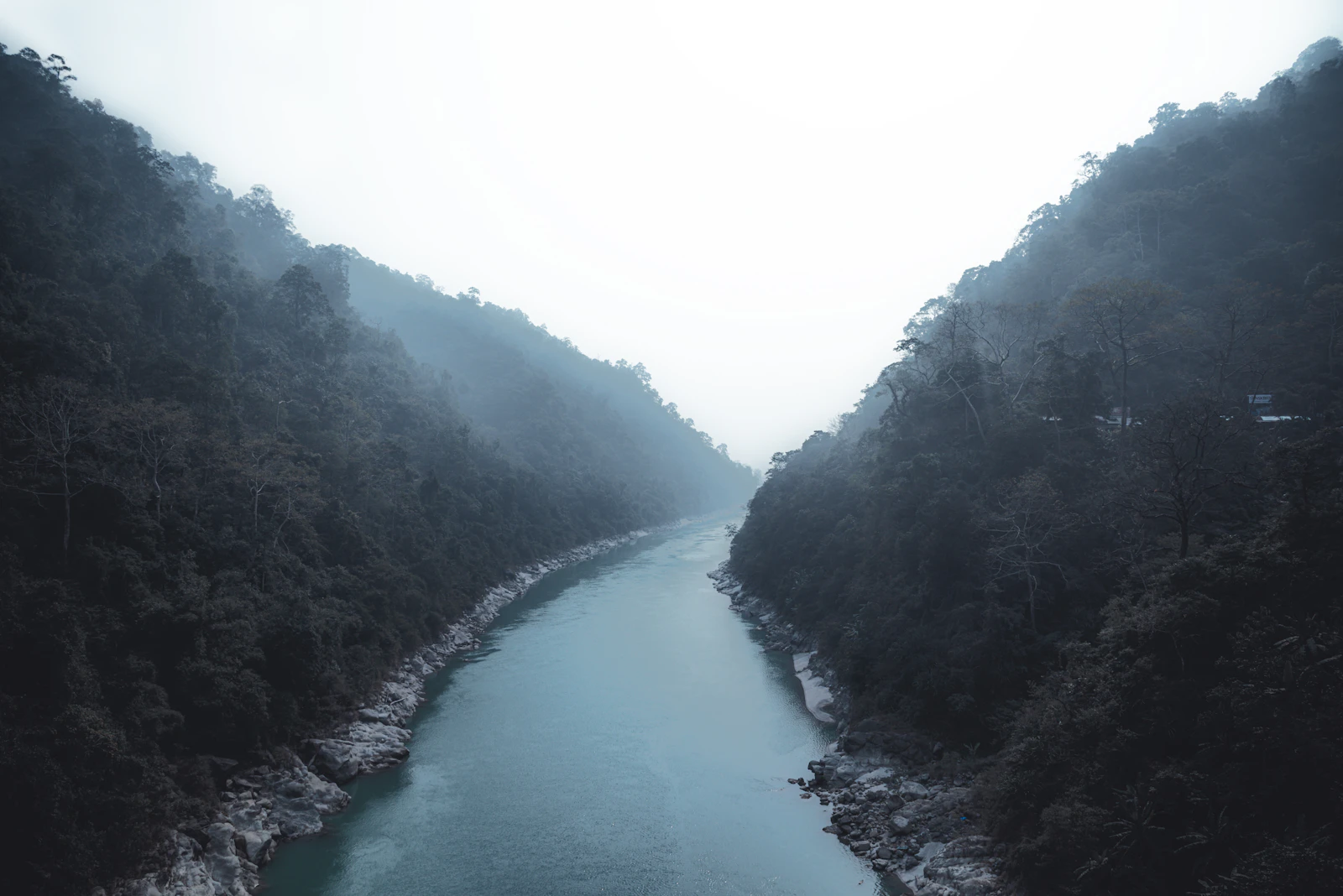 The Teesta flowing between misty forested banks below the Sevoke bridge, where the river runs out of the hills