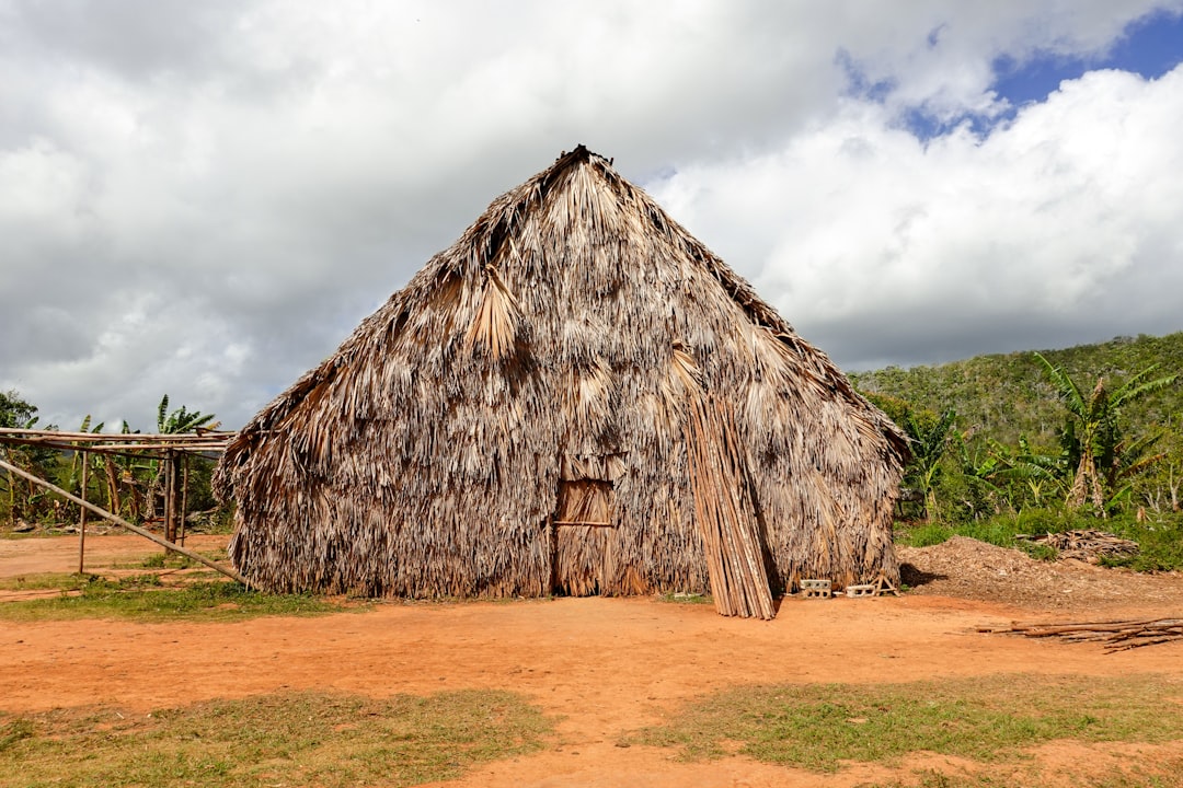 brown wooden house under white clouds during daytime