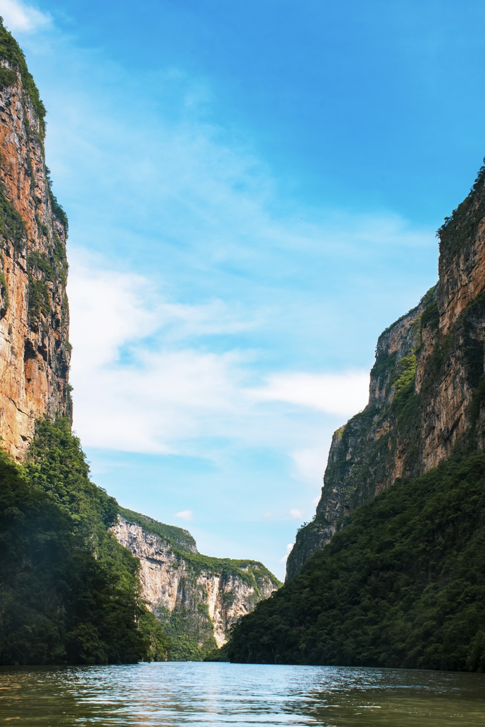 green trees on rocky mountain under blue sky during daytime