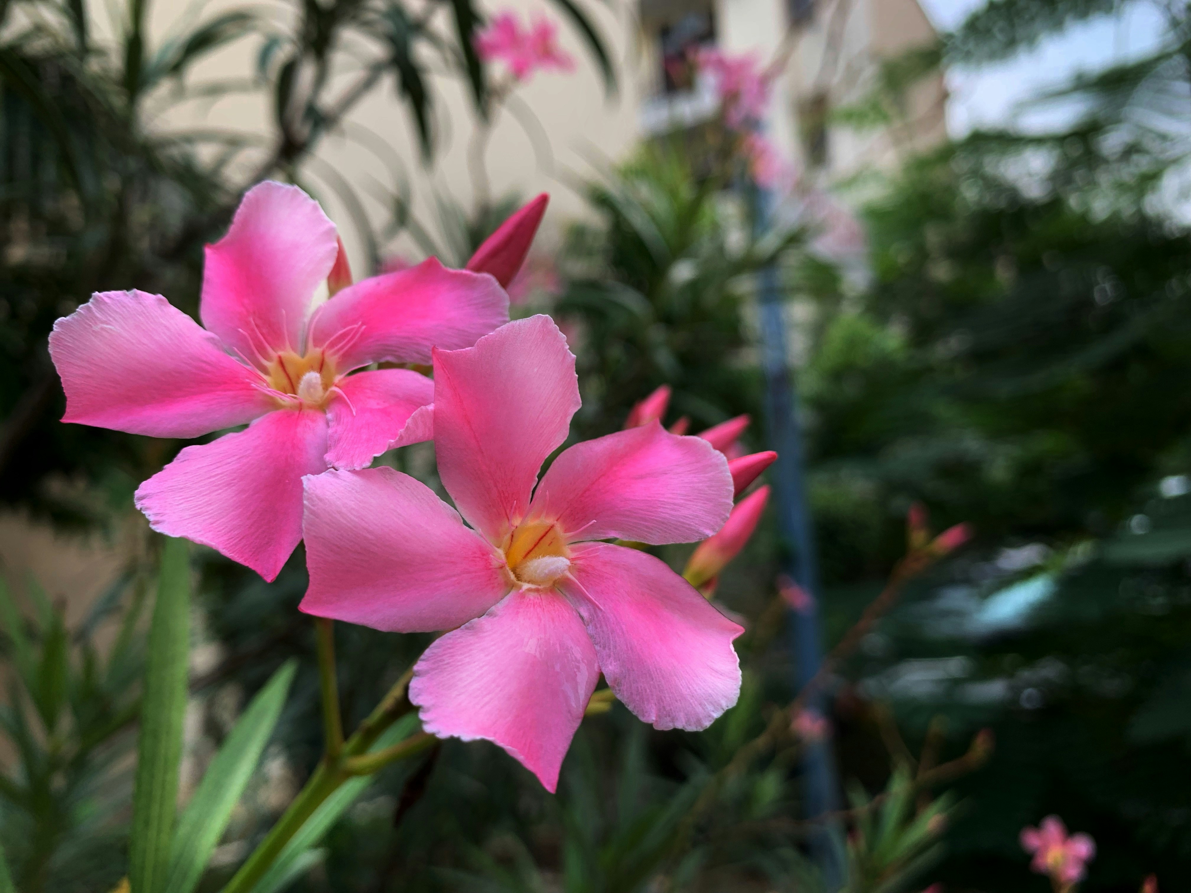 Photo by parikshit74