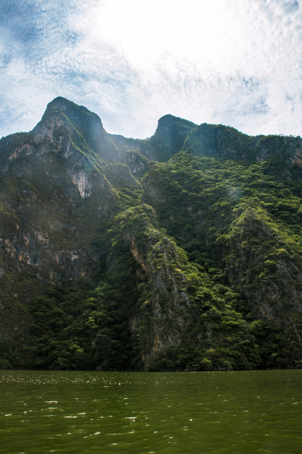 Grüne Bäume am Berg unter blauem Himmel tagsüber