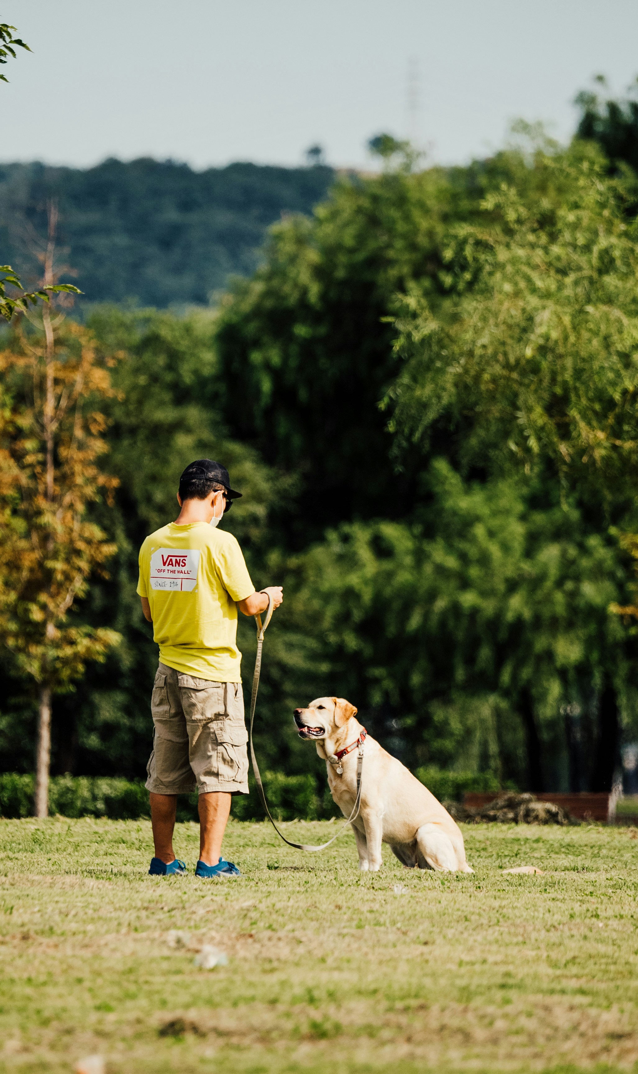 Handler and service dog in a serene outdoor environment