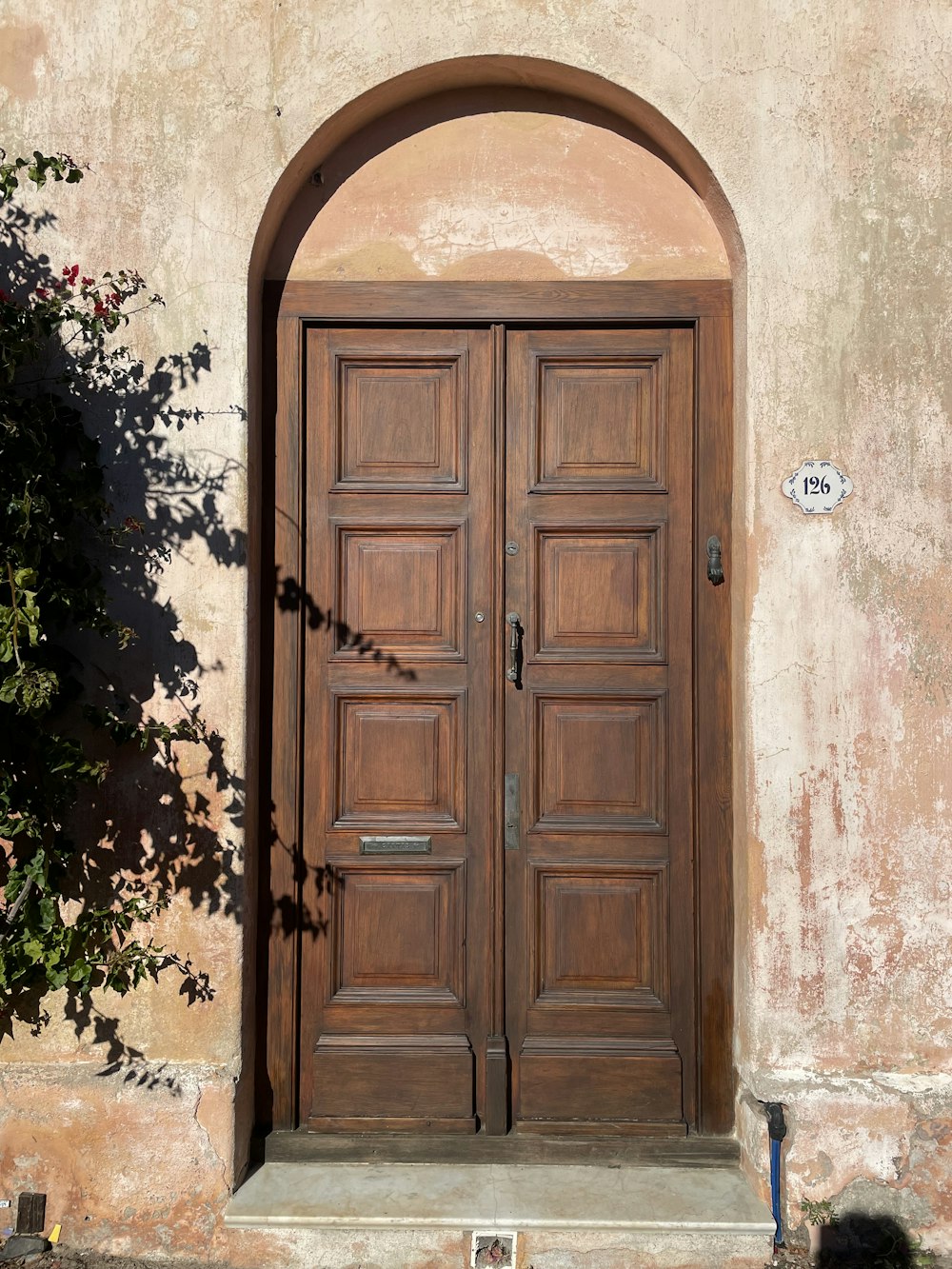 brown wooden door with green plants