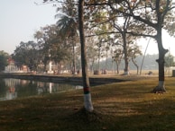 A serene park setting with people taking photos of nature.
