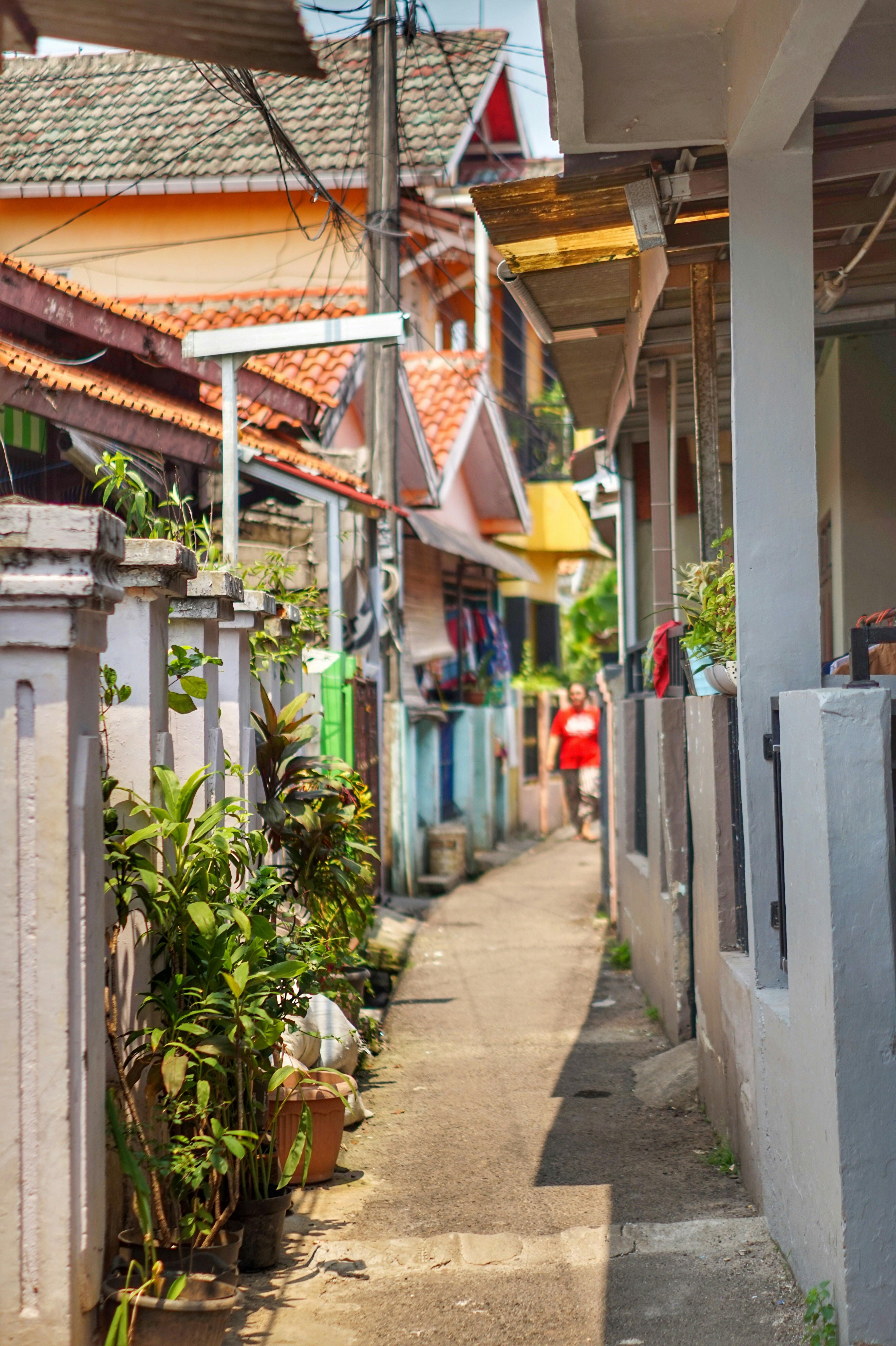 Photo by andri_longe