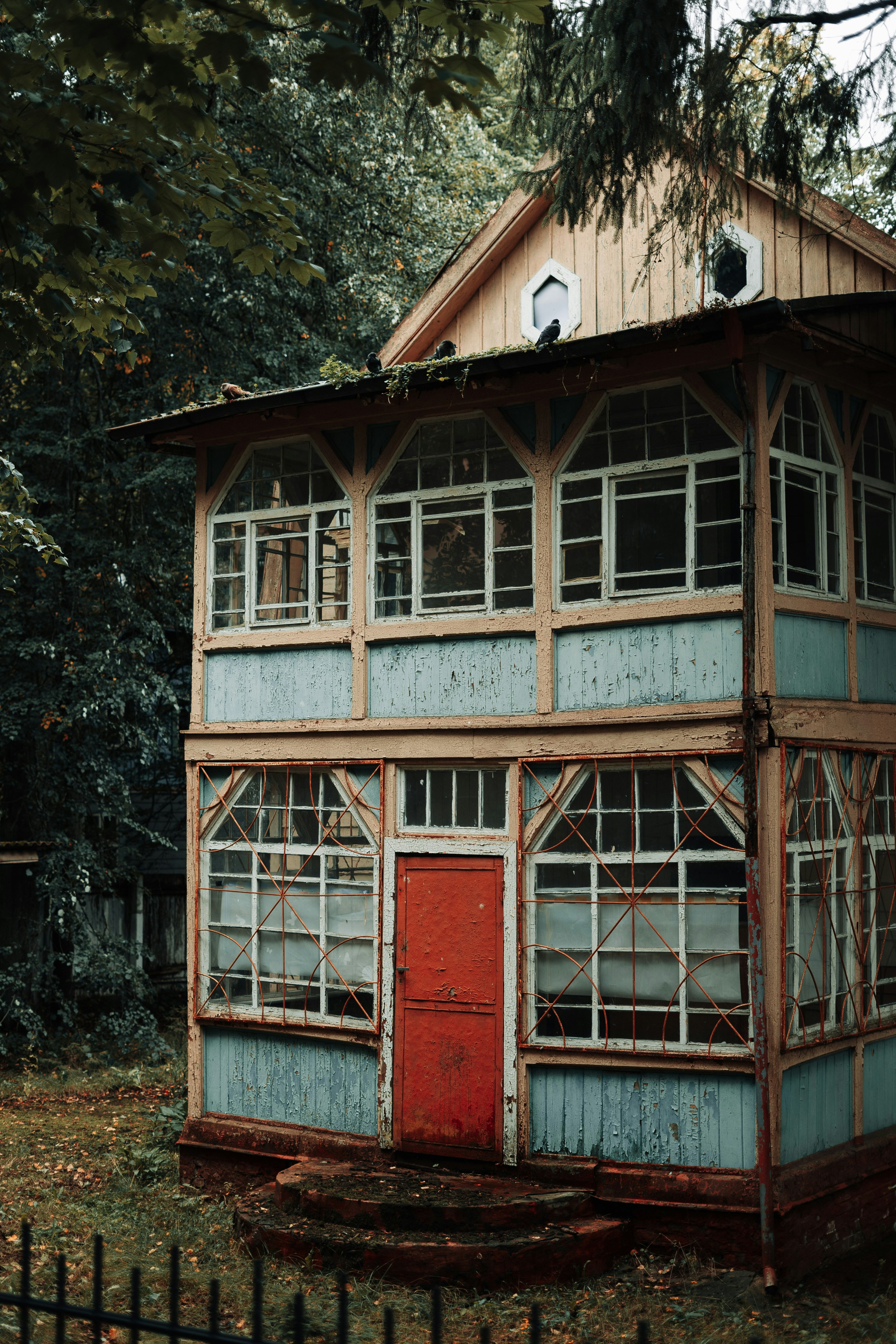 Photo by robert_lens