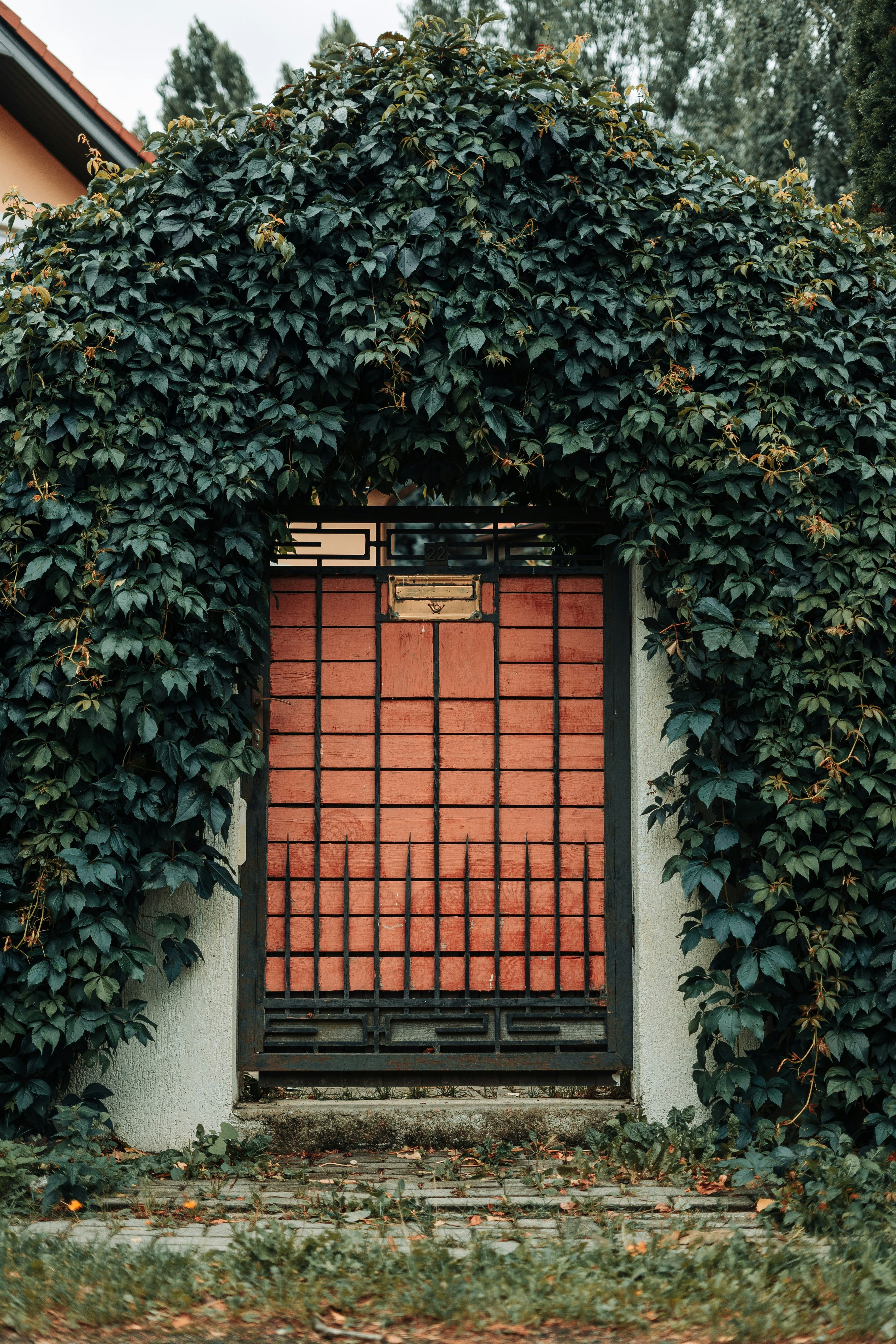 Photo by robert_lens