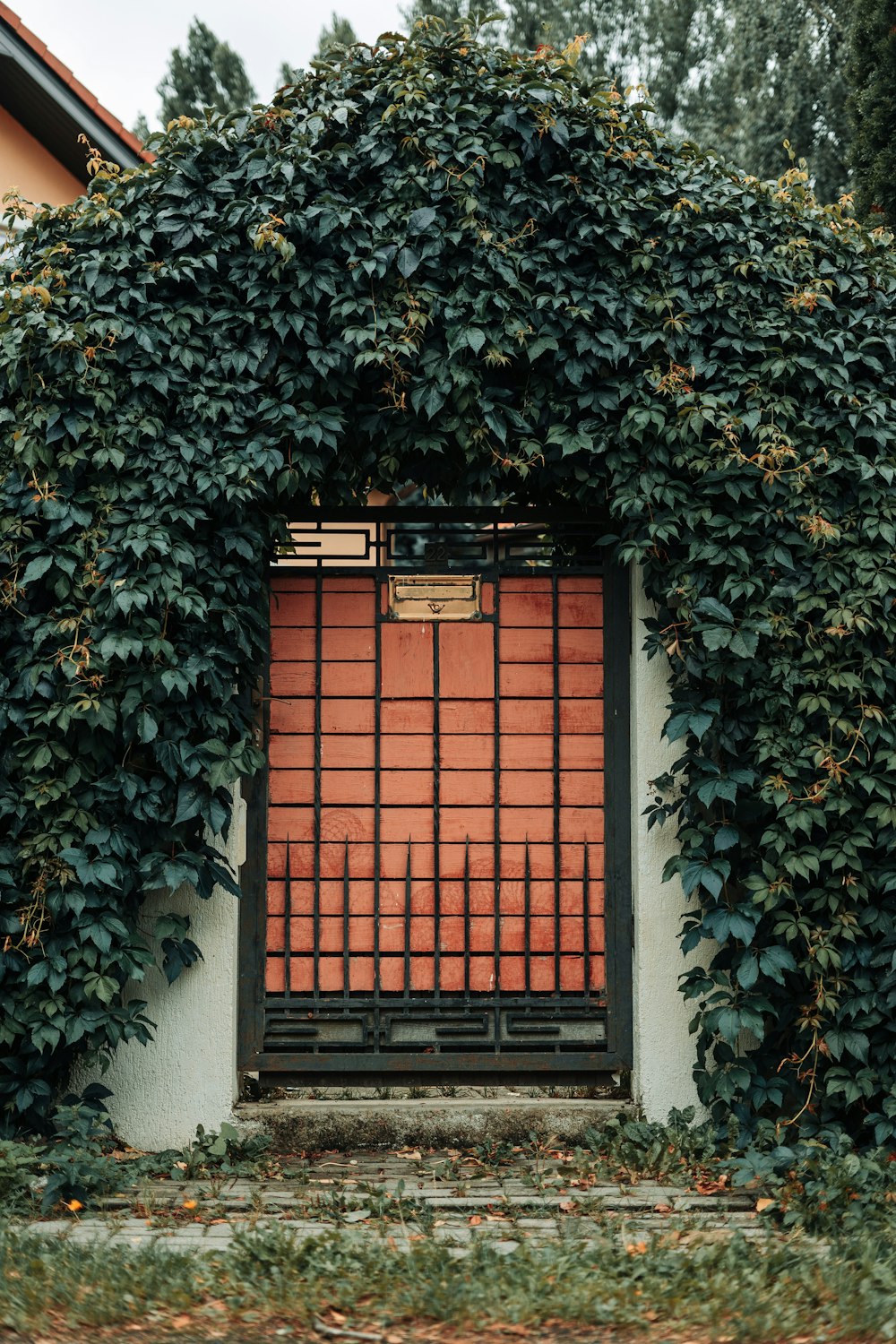 a building covered in vines with a red door