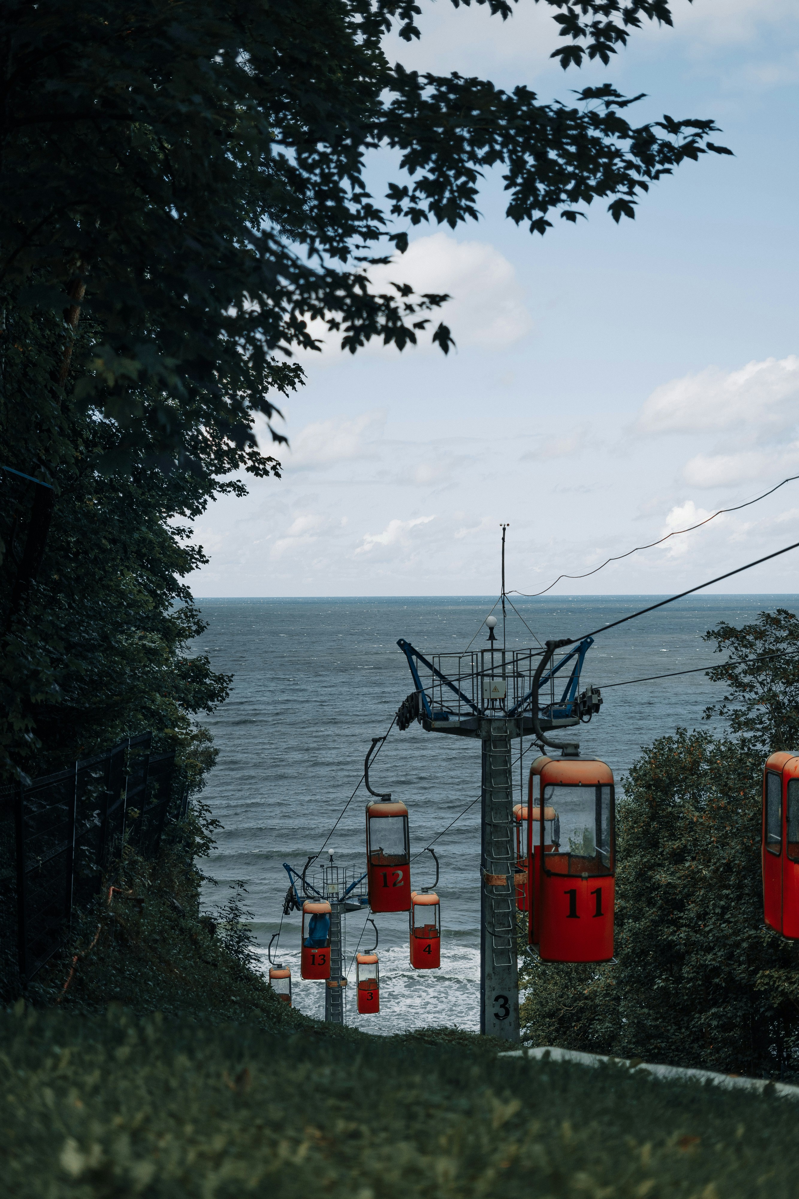Un par de sillas rojas sentadas en la cima de una exuberante ladera verde
