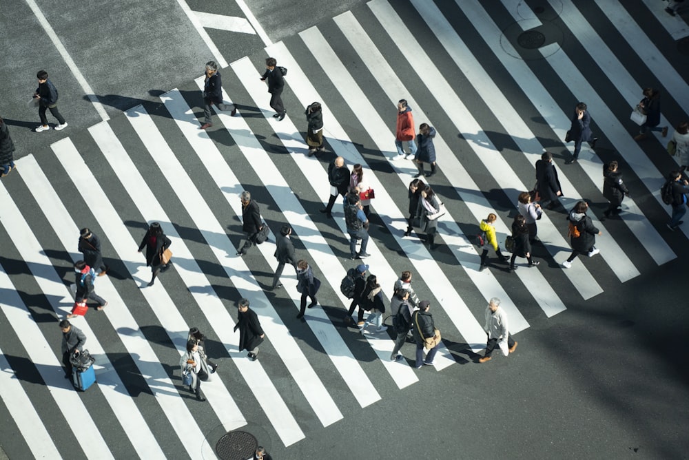 people walking on pedestrian lane during daytime