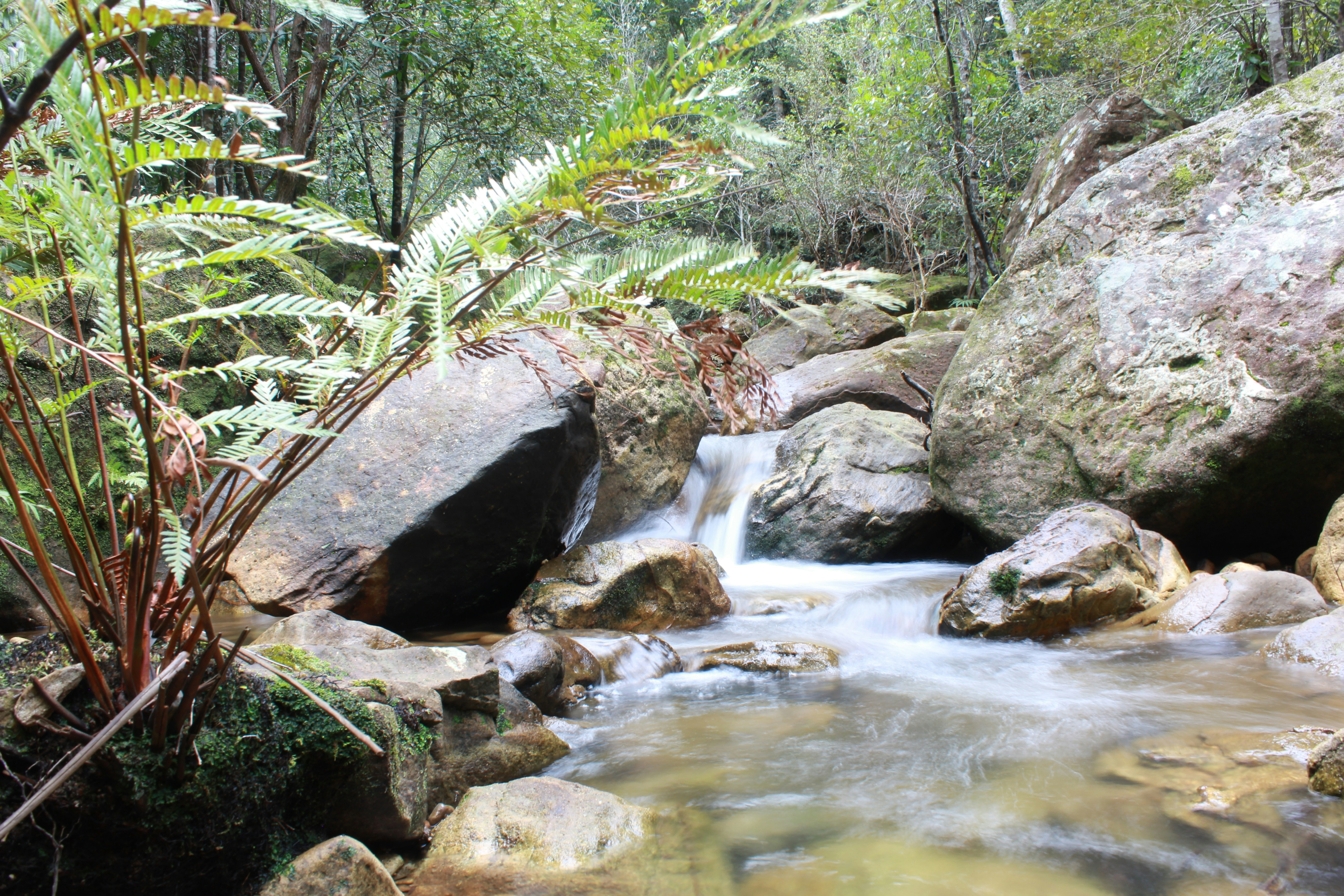 Photo by light_and_hope