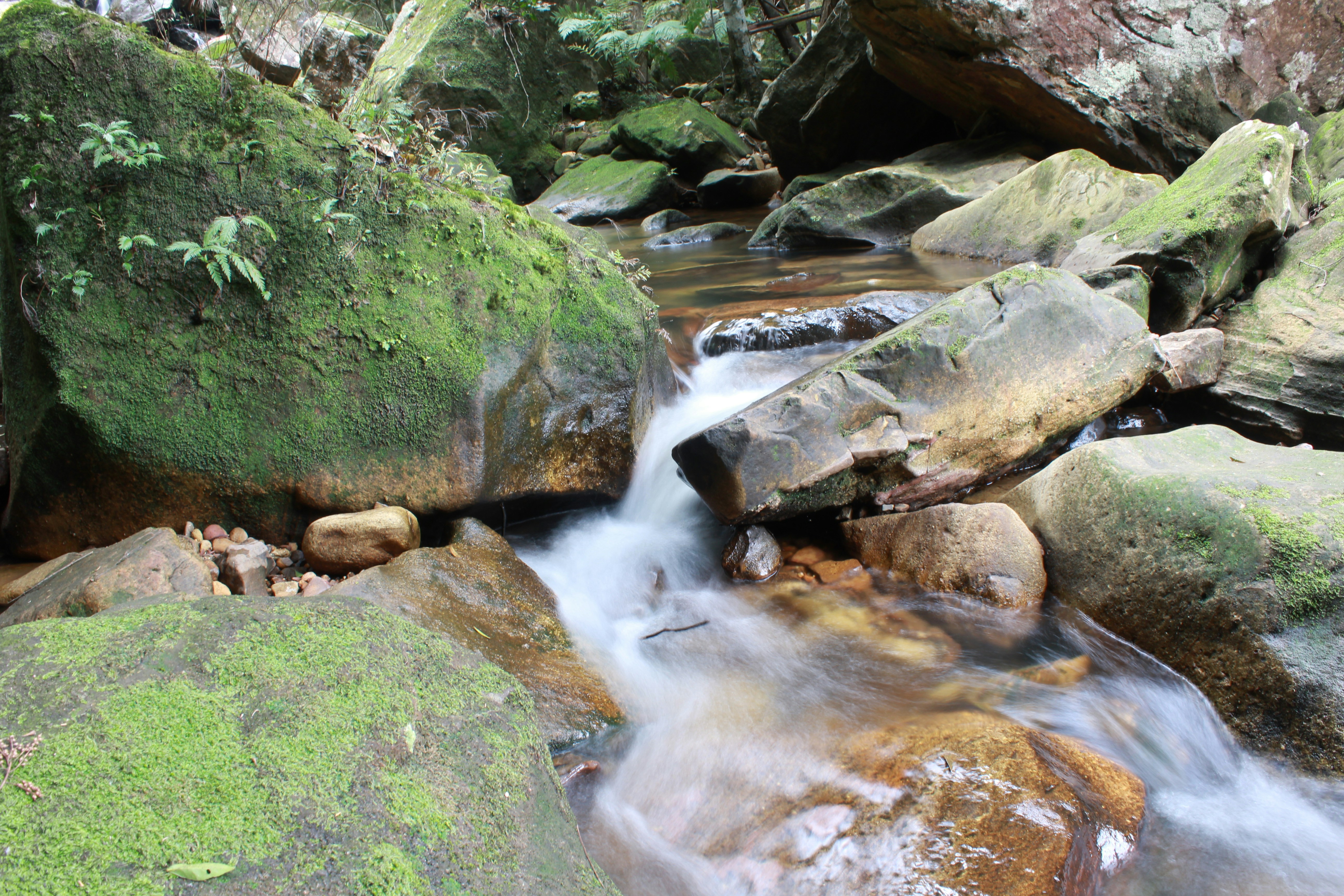 Photo by light_and_hope