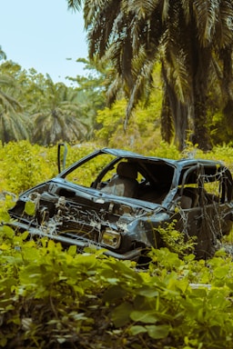 black car on green grass field during daytime