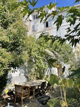 A shaded outdoor seating area surrounded by lush greenery.
