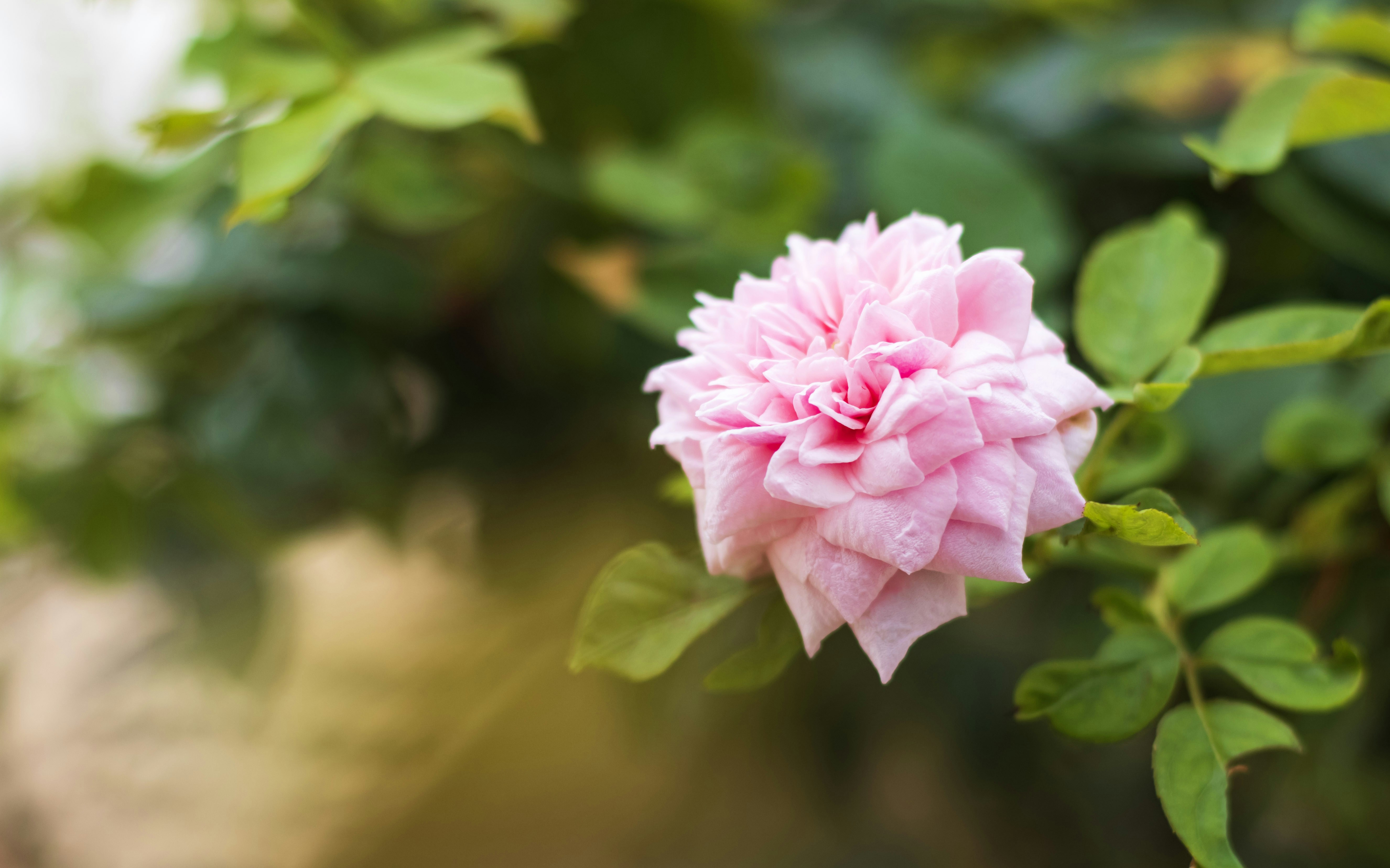 Photo by vdphotography