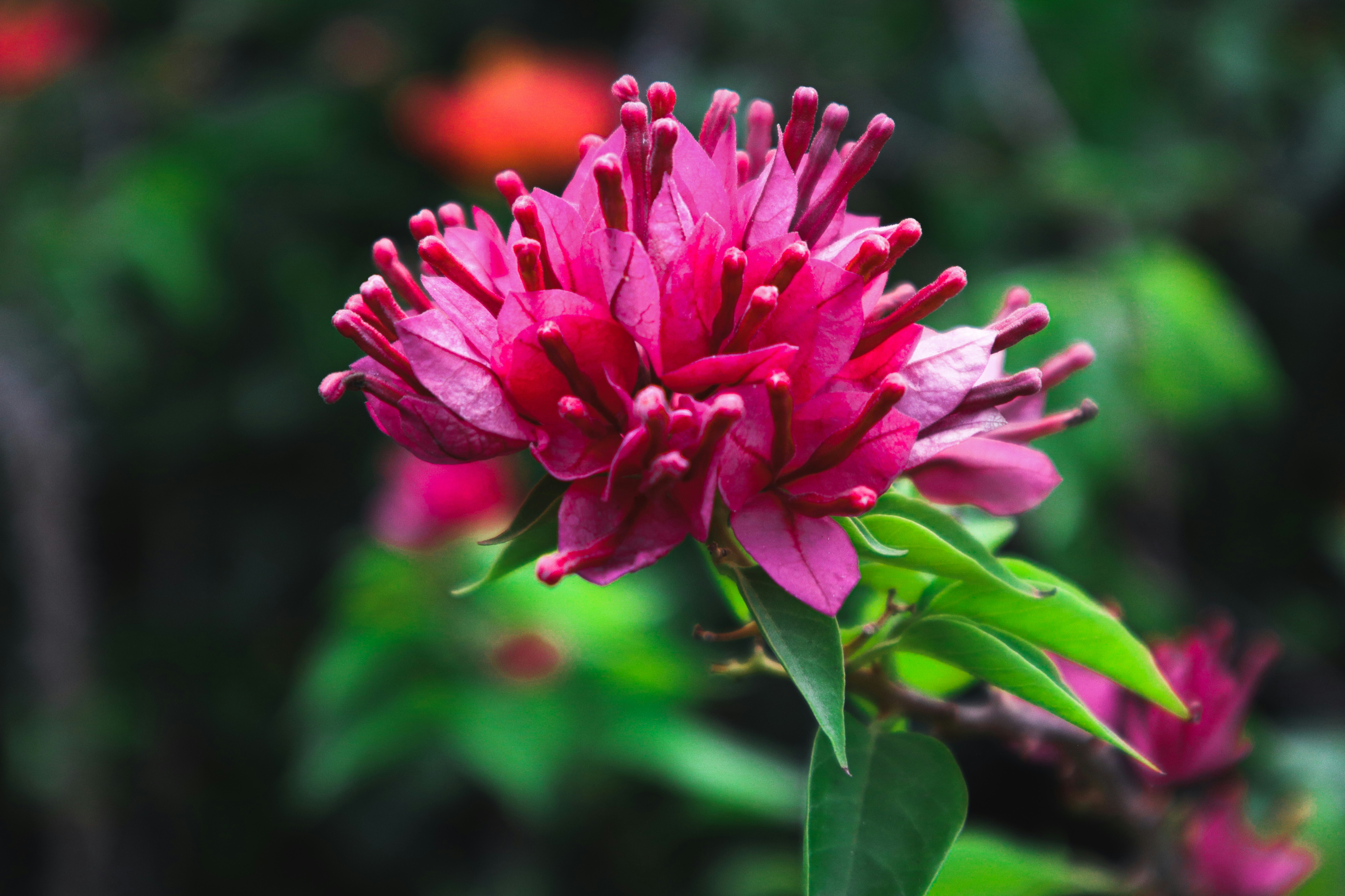 Photo by vdphotography