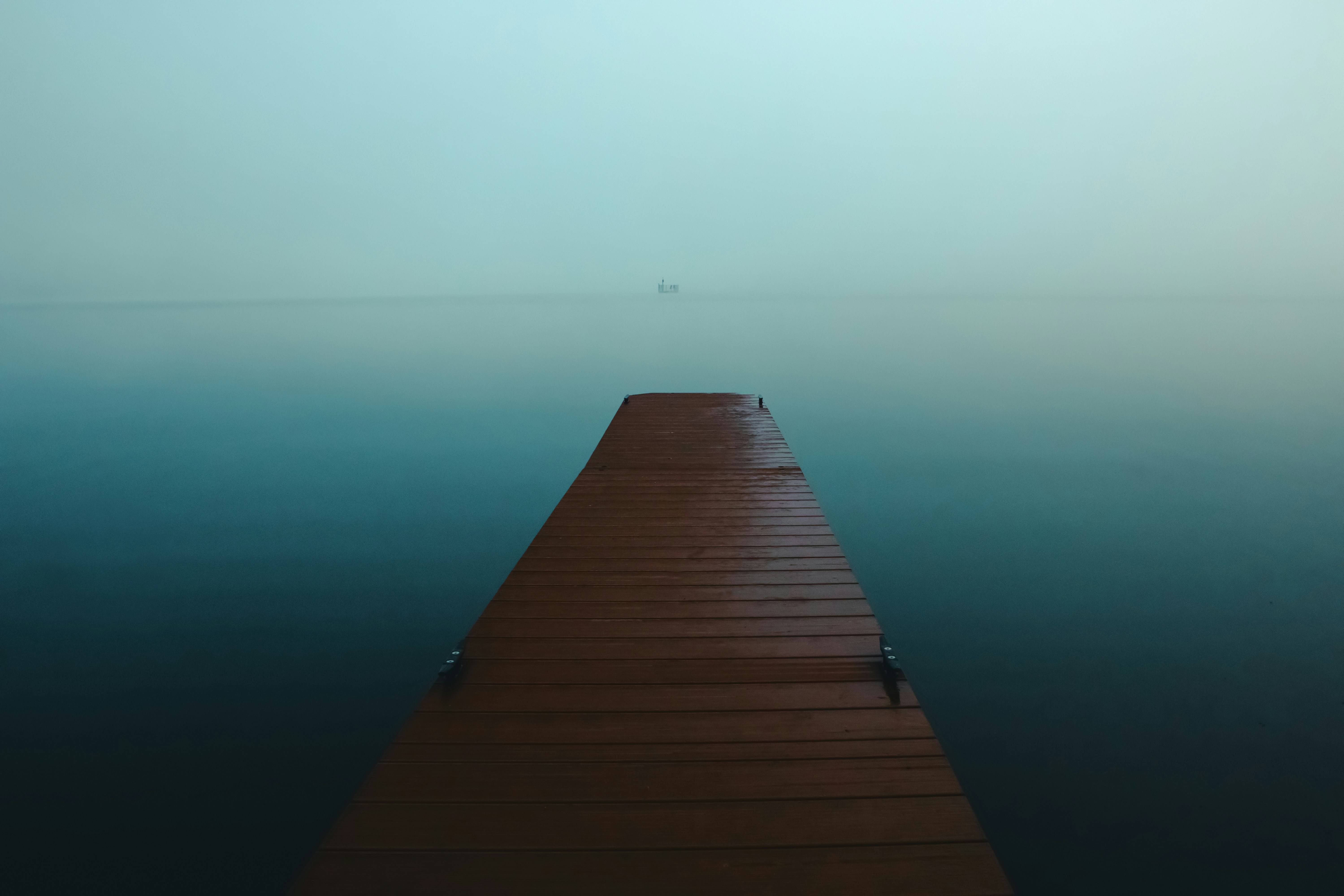 photo-1630749848606-ae12a27a1de0?ixid=M3