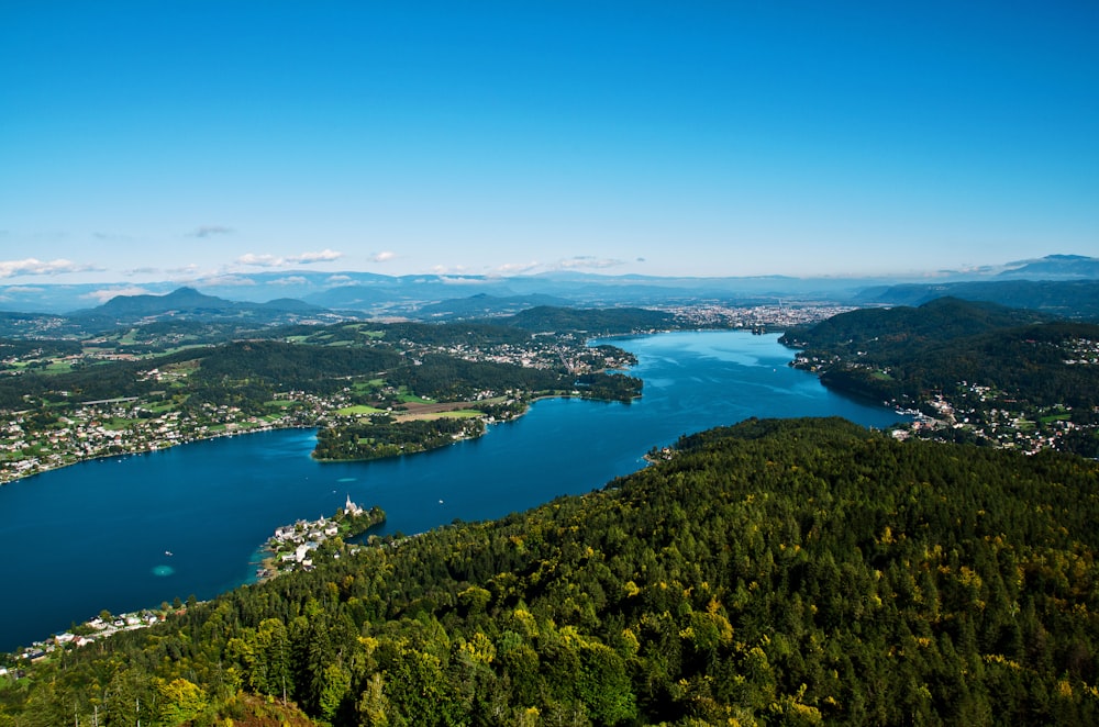 árvores verdes perto do mar azul sob o céu azul durante o dia