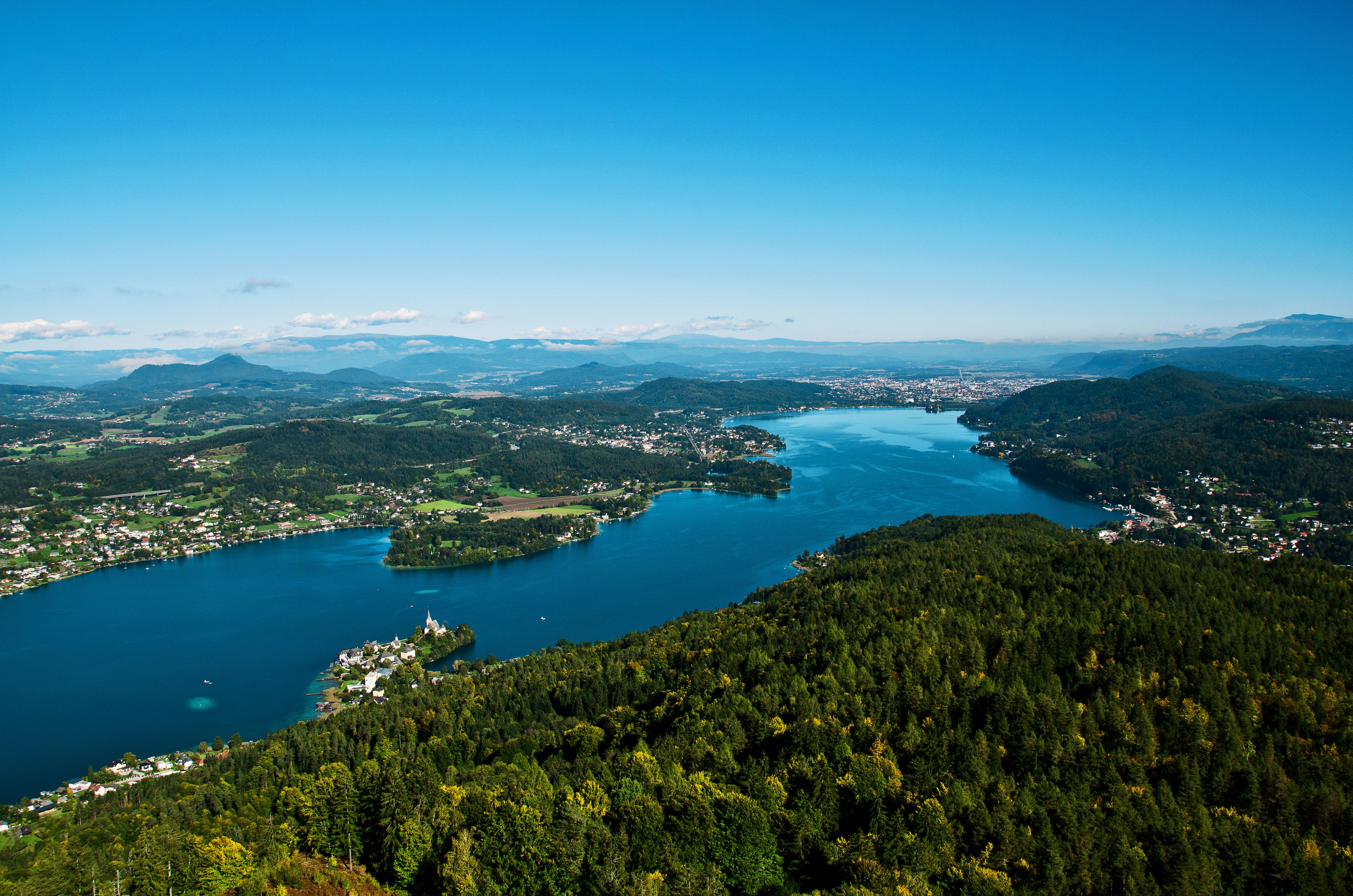 green trees near blue sea under blue sky during daytime