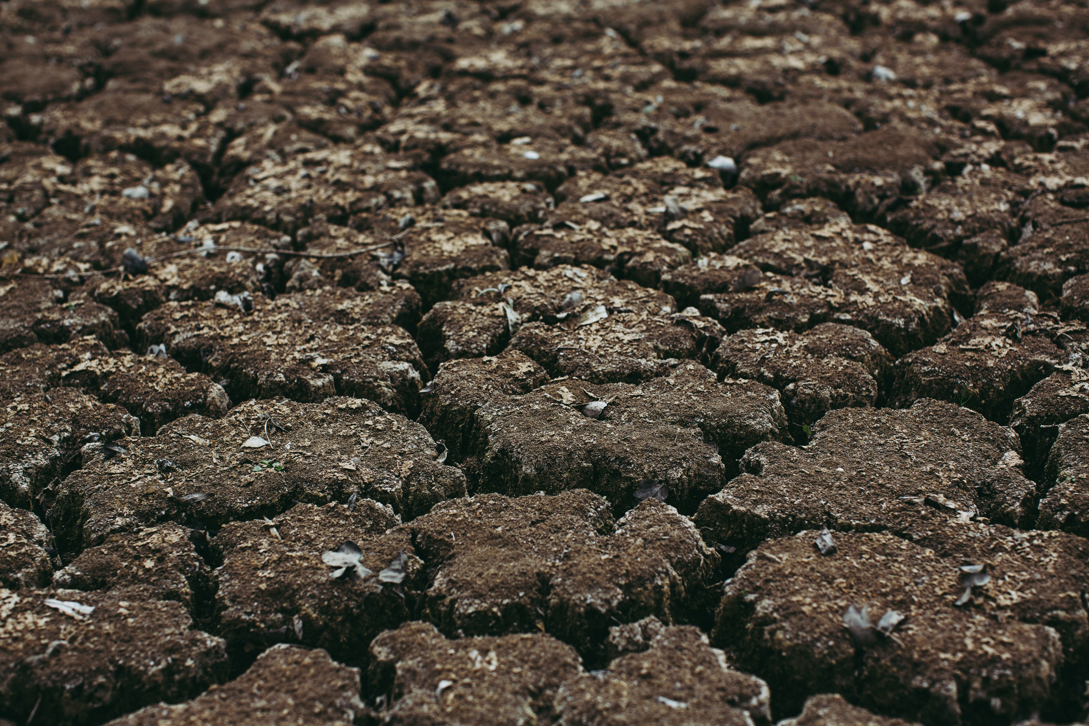 black stones on brown soil