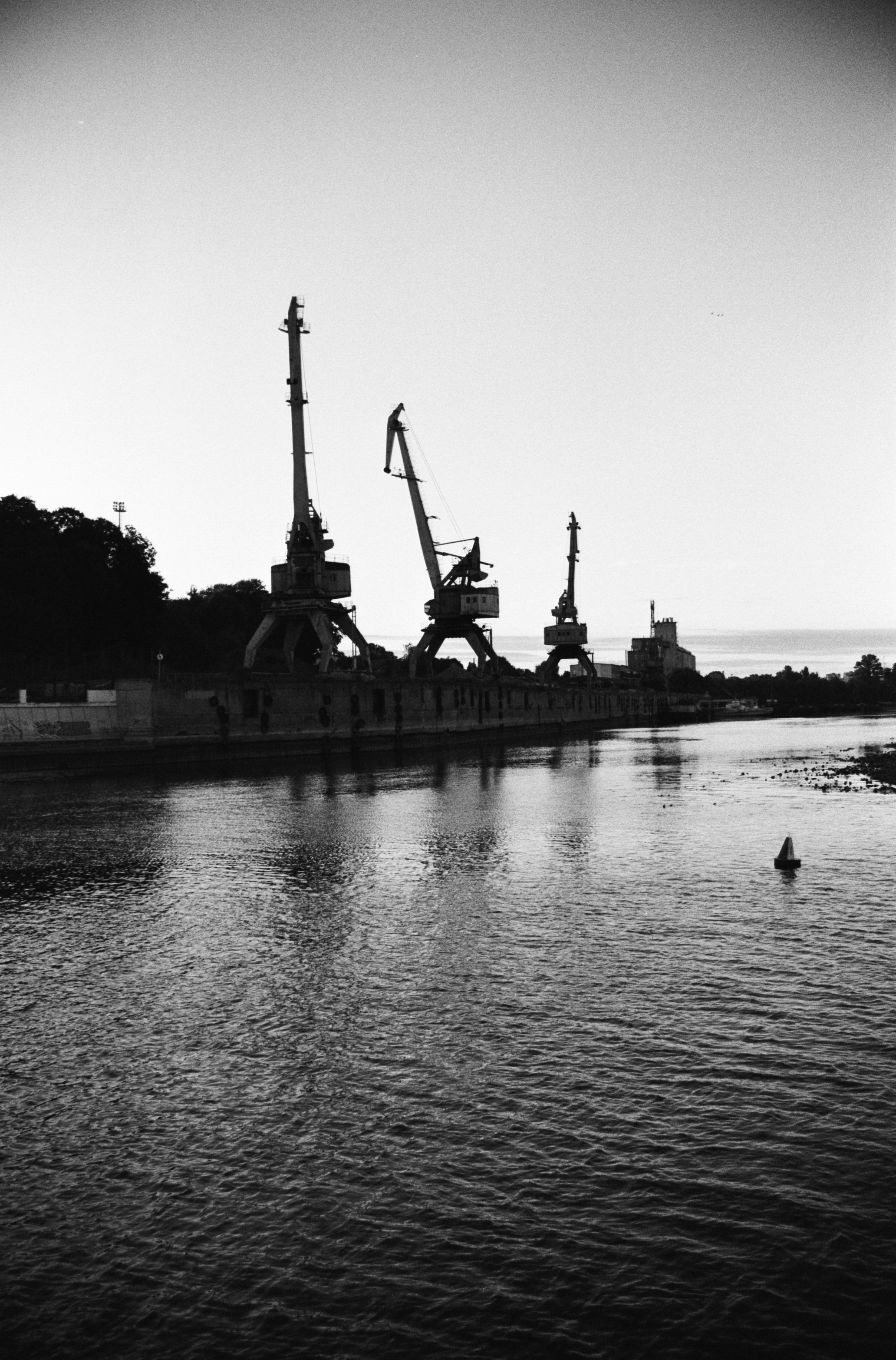 Photo by vegfrt