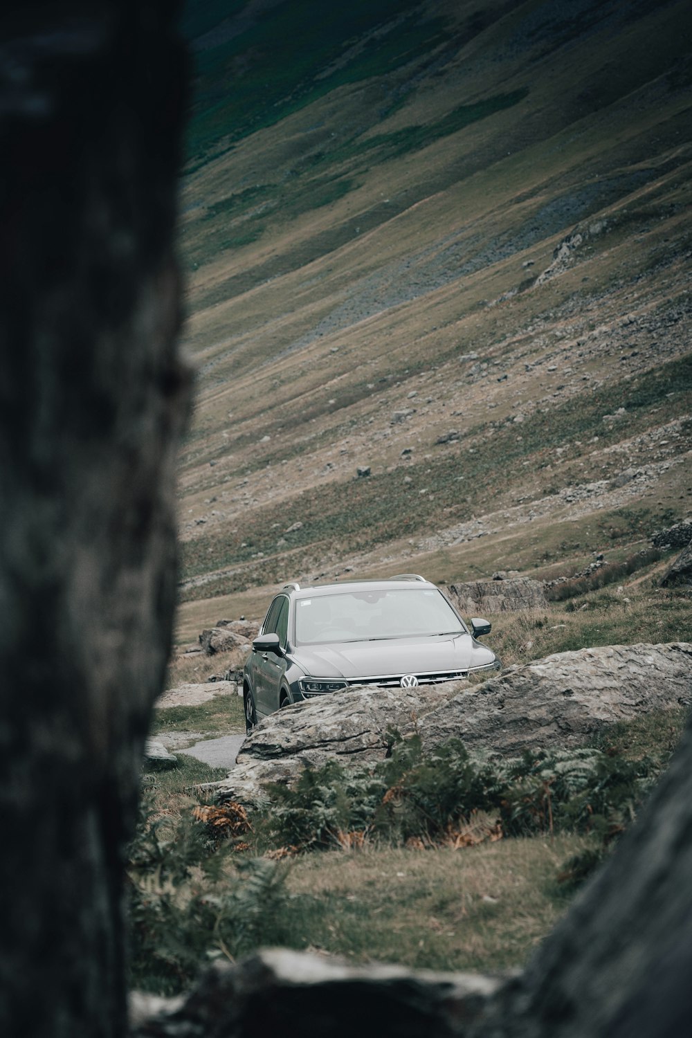 auto bianca sul campo di erba verde durante il giorno