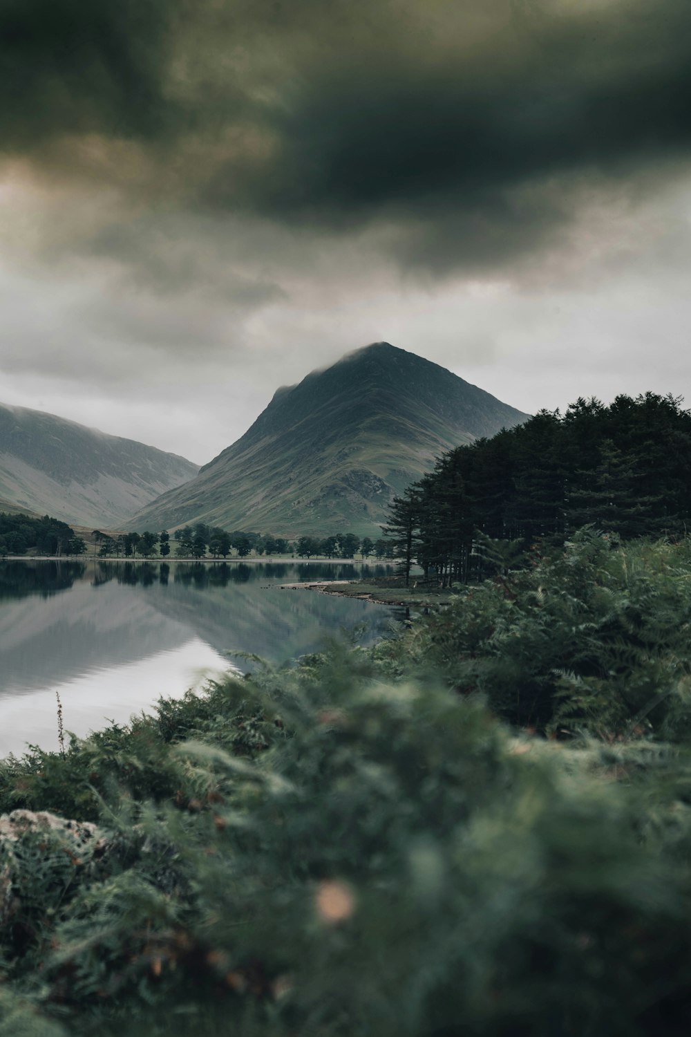 green trees near lake and mountain under cloudy sky during daytime