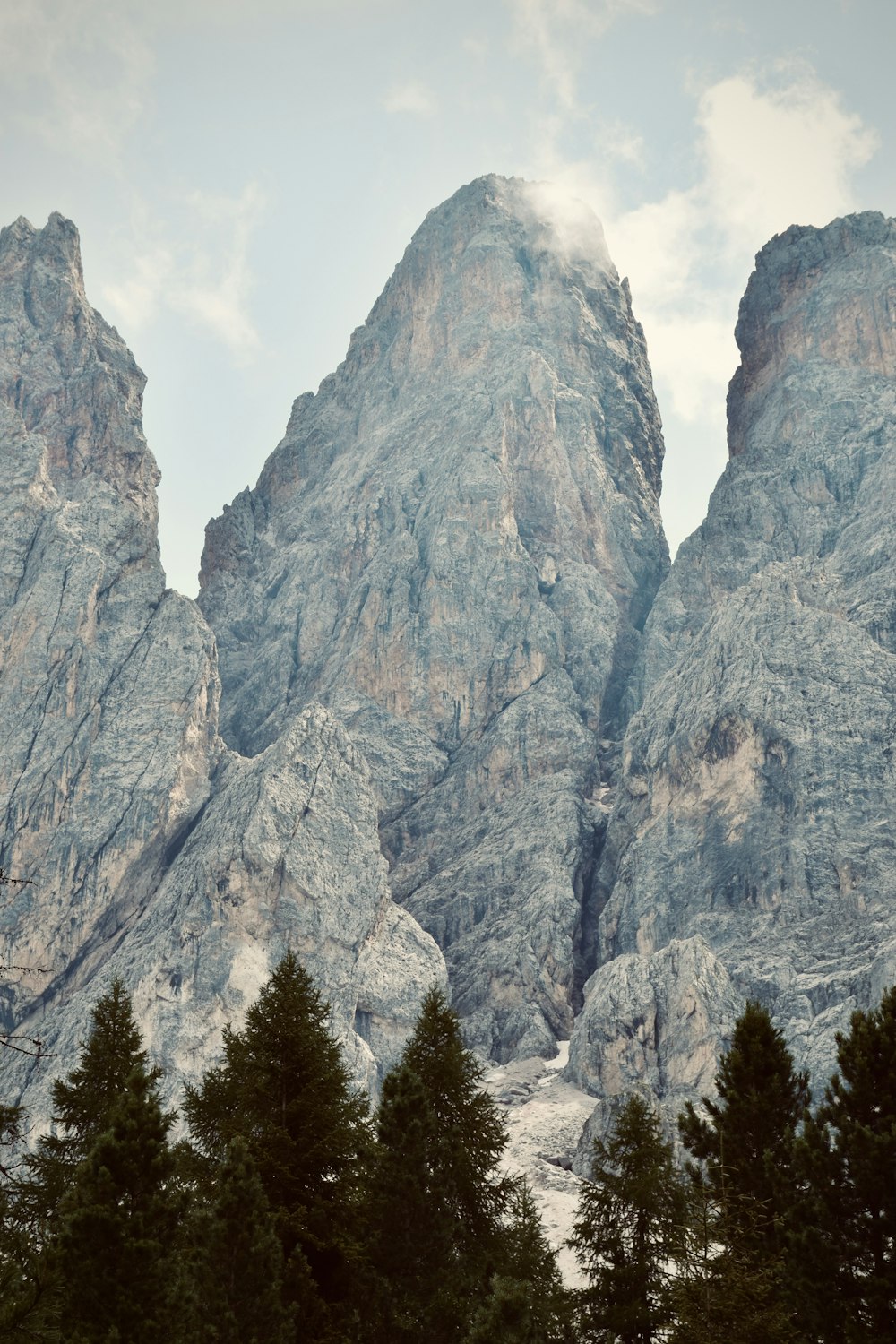 alberi verdi vicino alla montagna durante il giorno