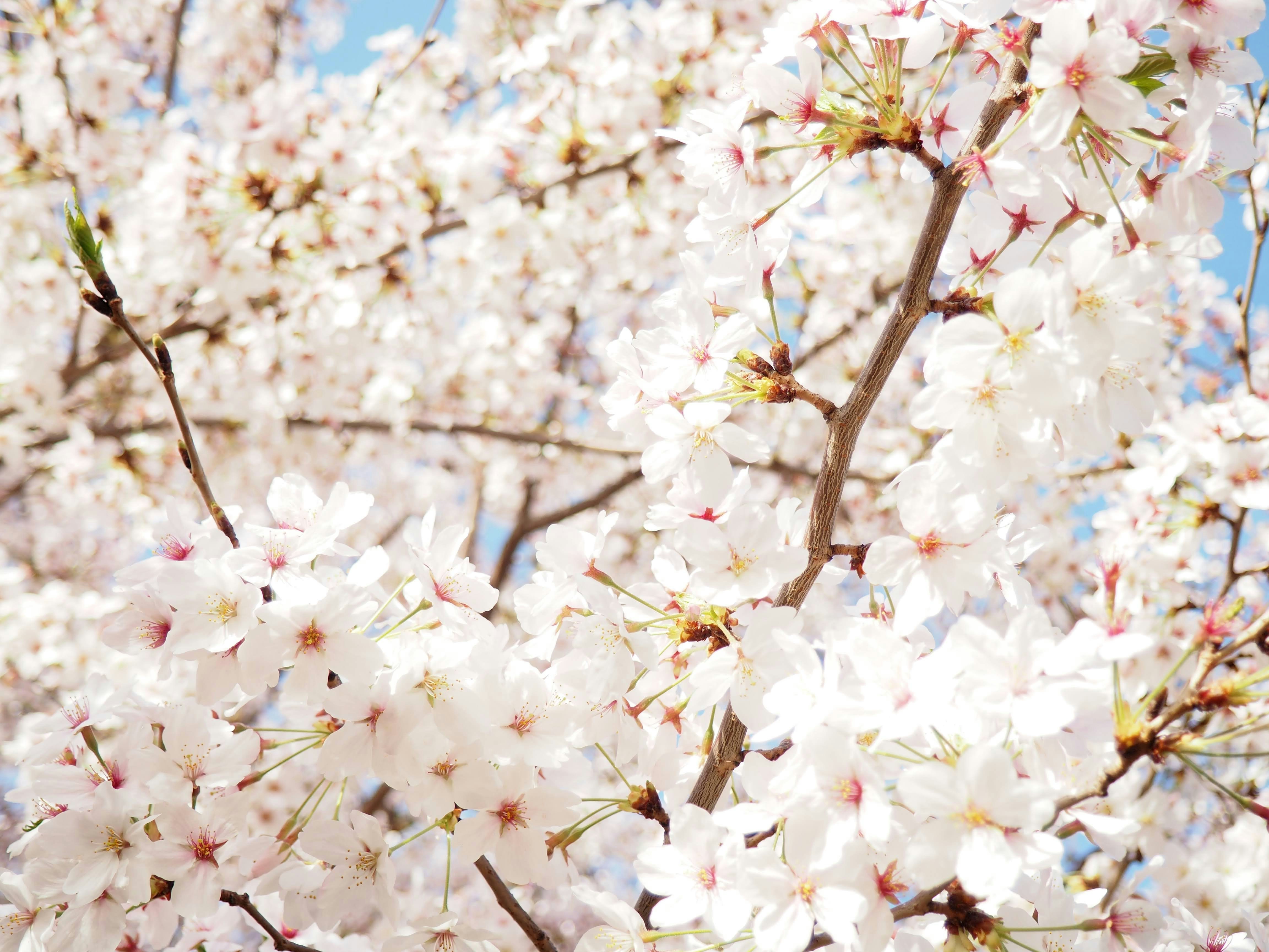 Photo by curryyyyyyyyy