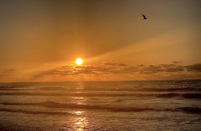 East Beach