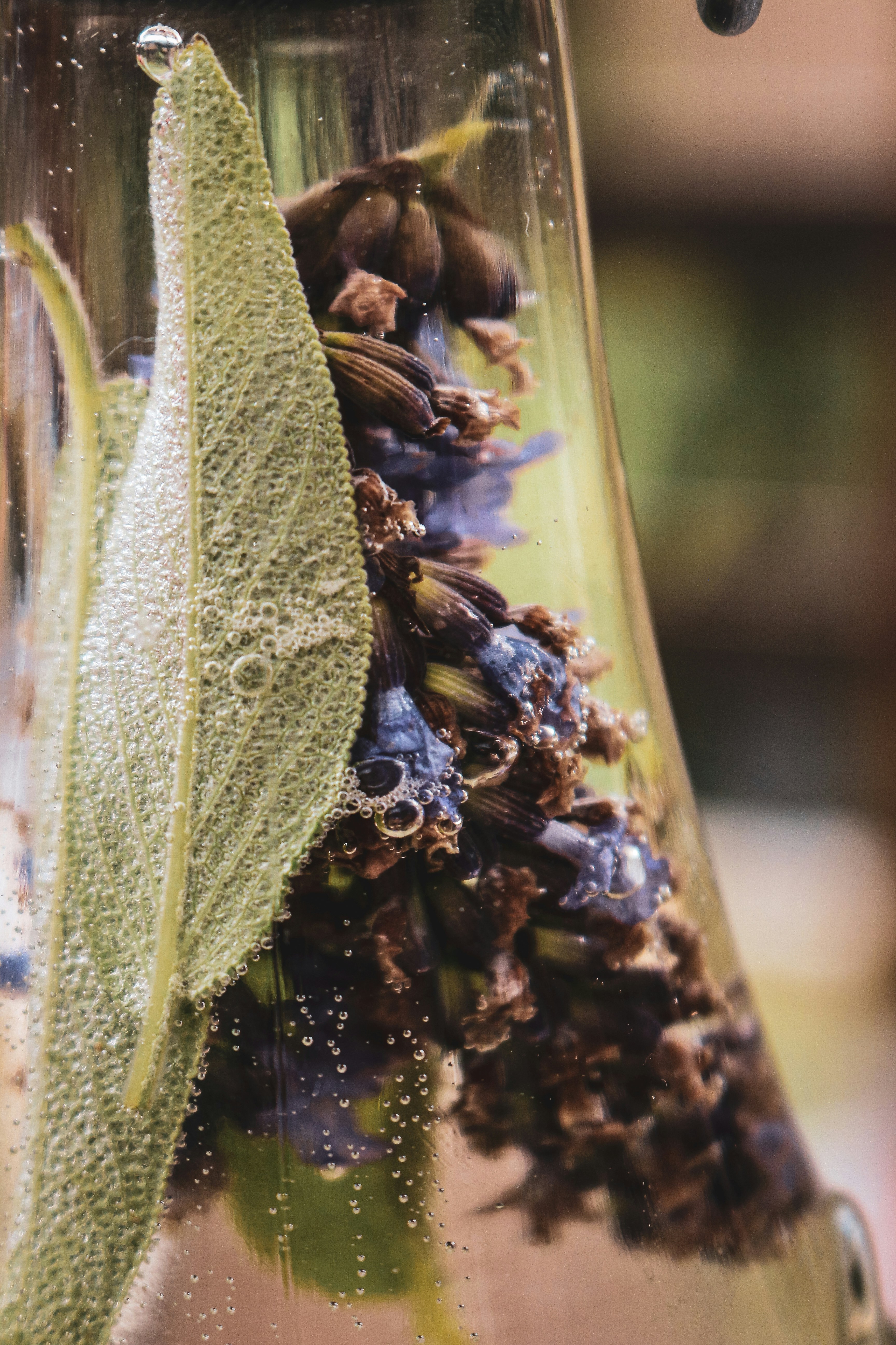 Photo by baptistebuiss