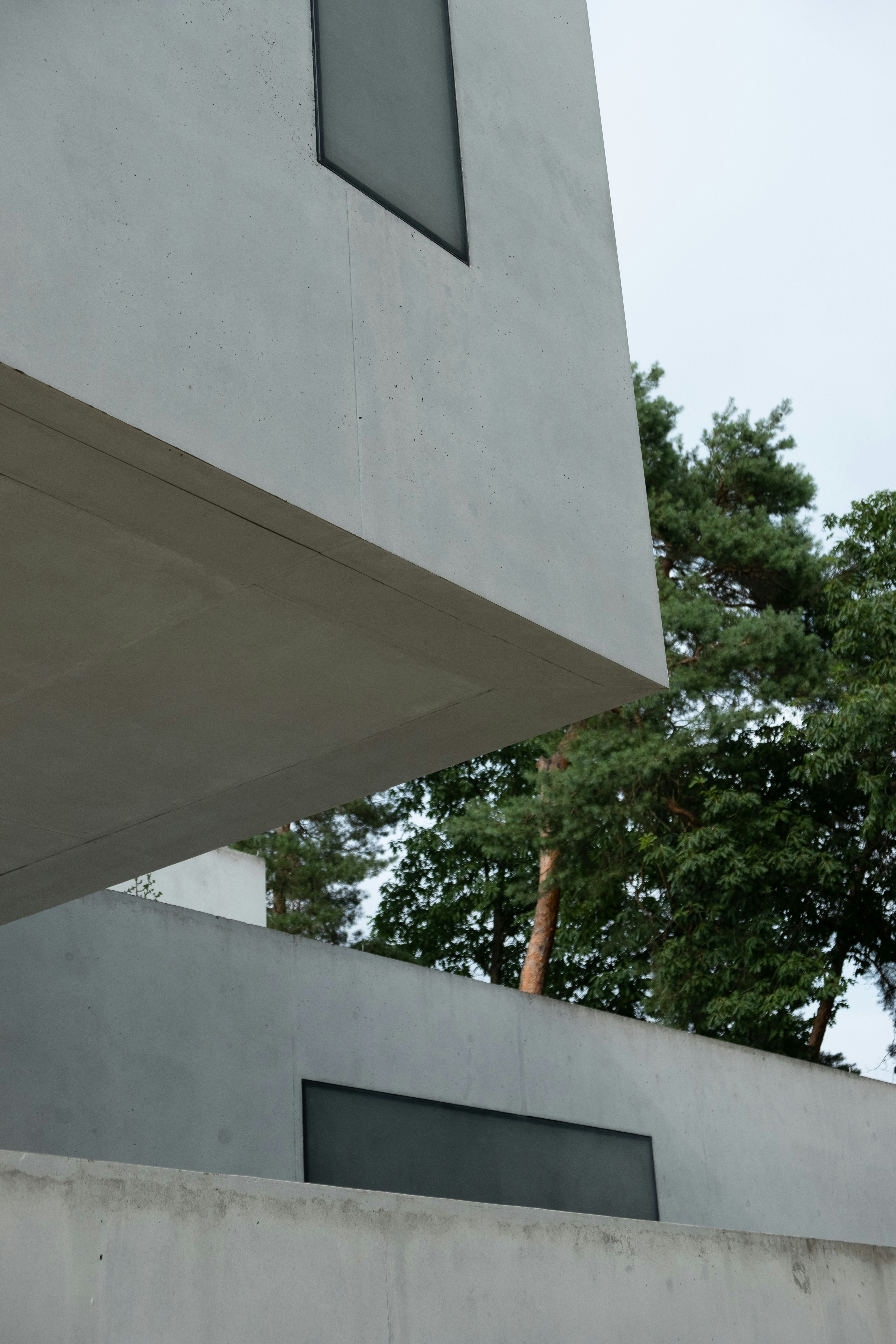 green tree beside white concrete building