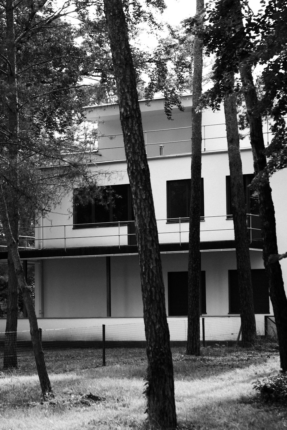 建物の近くの木のグレースケール写真