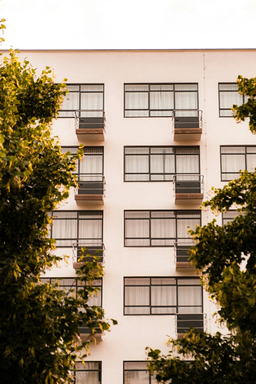 Bâtiment en béton blanc avec des arbres verts