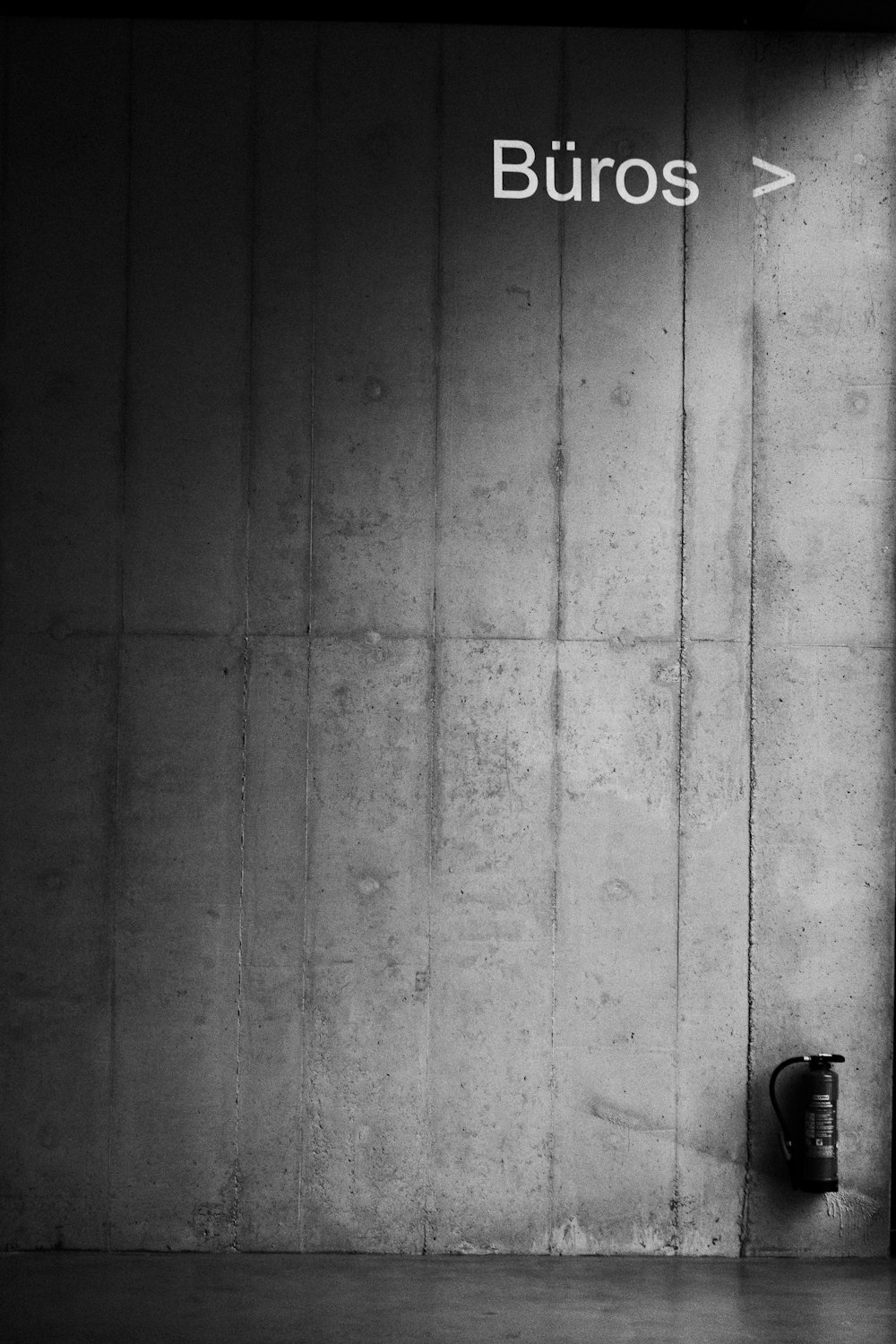 black and white cat on white wall