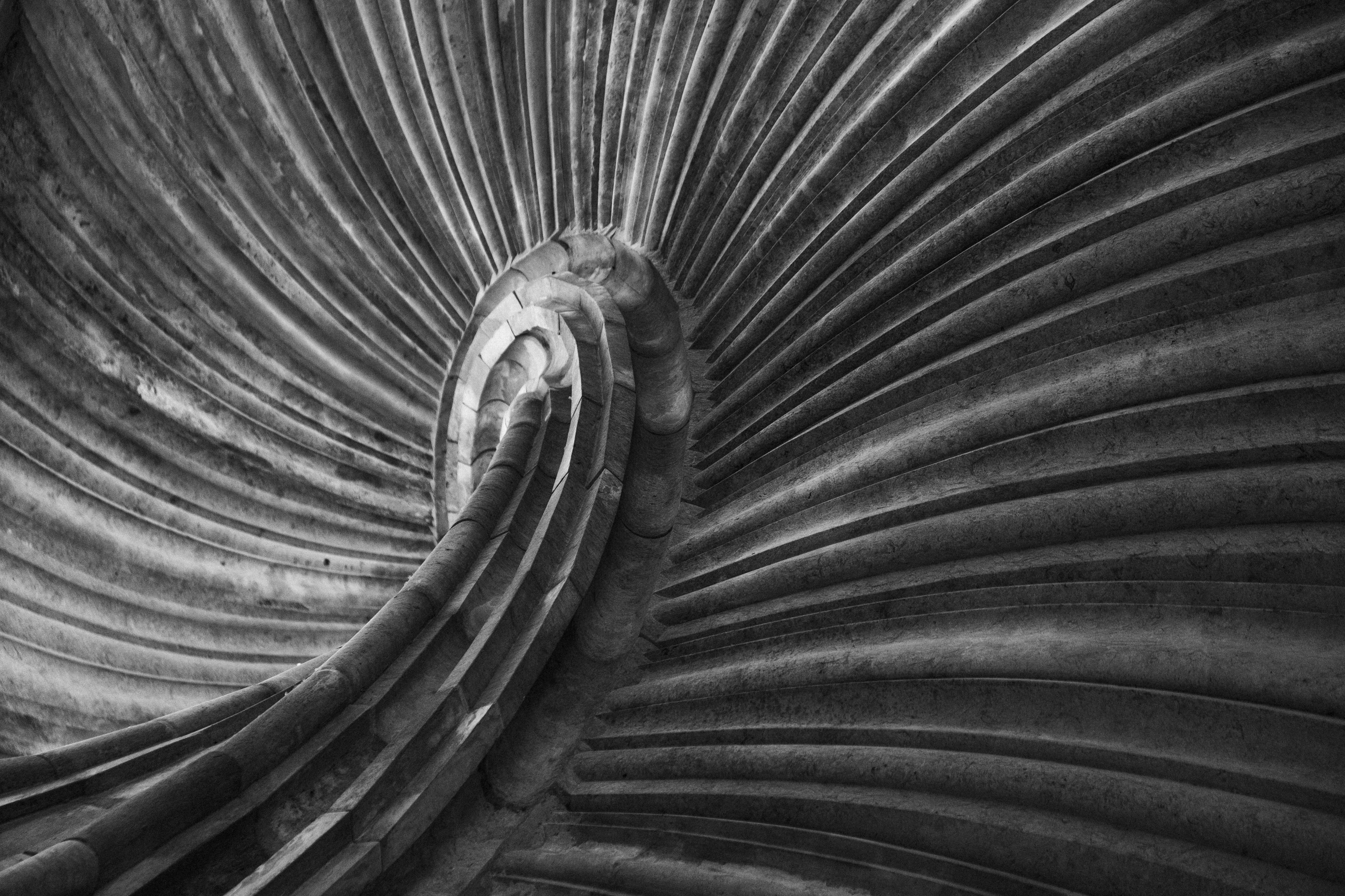 Photo by moritz_photography