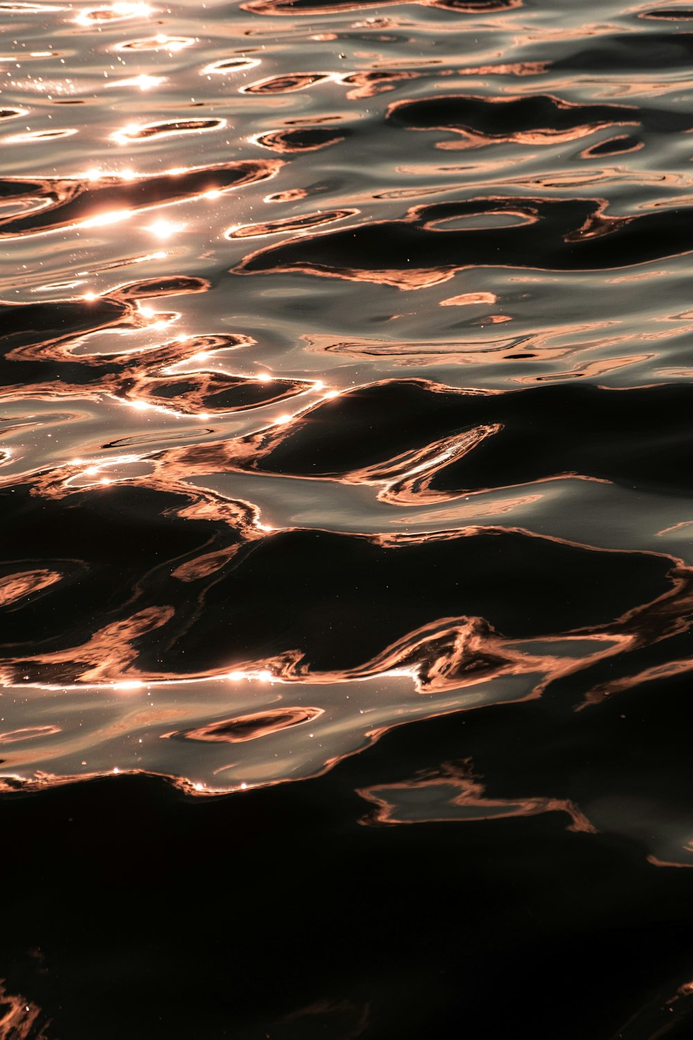 water drops on body of water