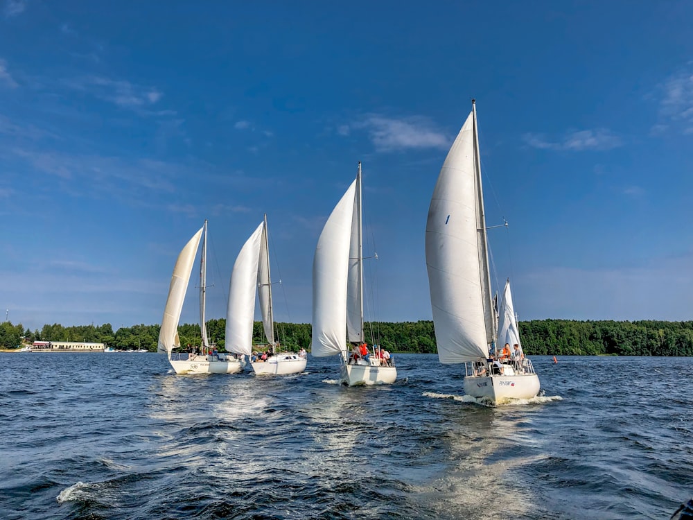 white sail boat on sea under blue sky during daytime