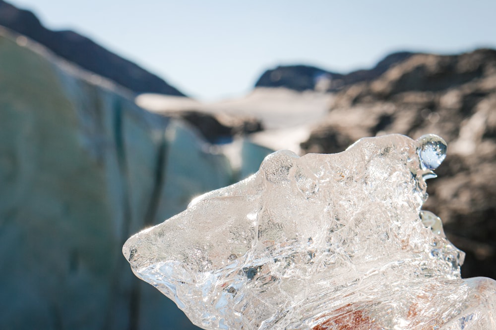 Hielo en una valla de madera marrón durante el día