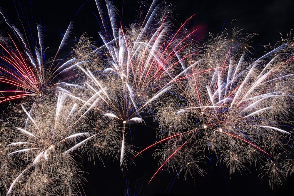 white and red fireworks display during nighttime