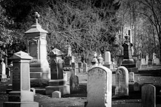 gray scale photo of cemetery