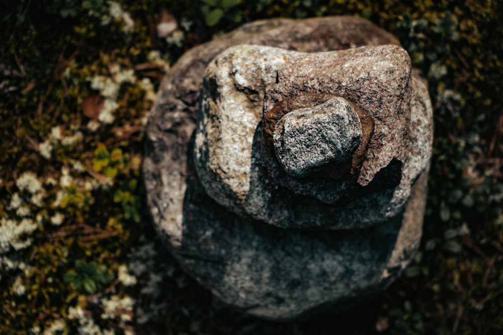 gray stone with hole on ground