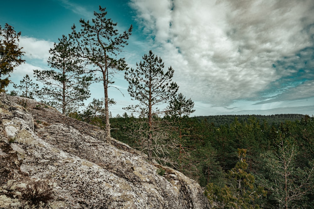 green trees on hill under white clouds and blue sky during daytime