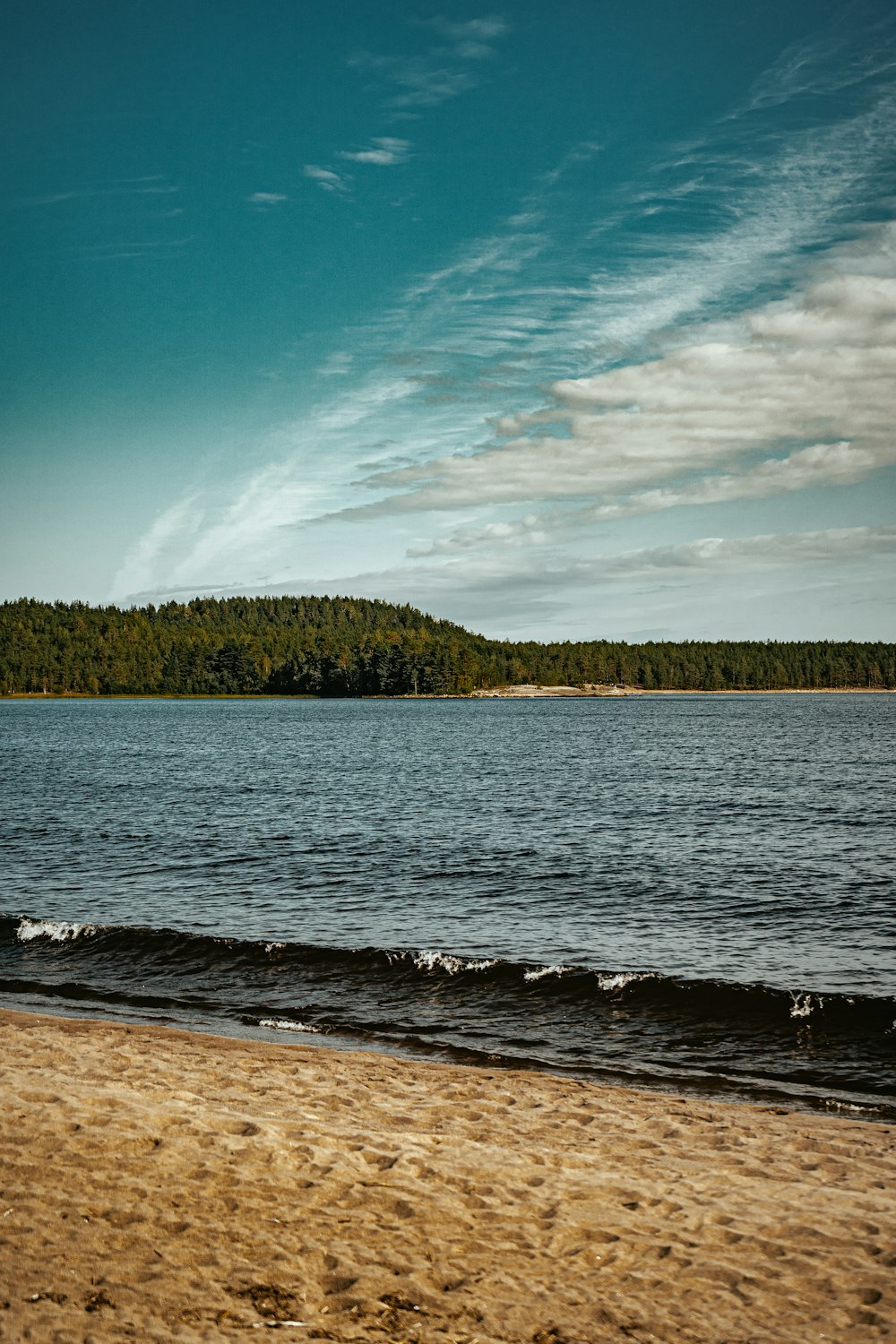 green trees near body of water during daytime