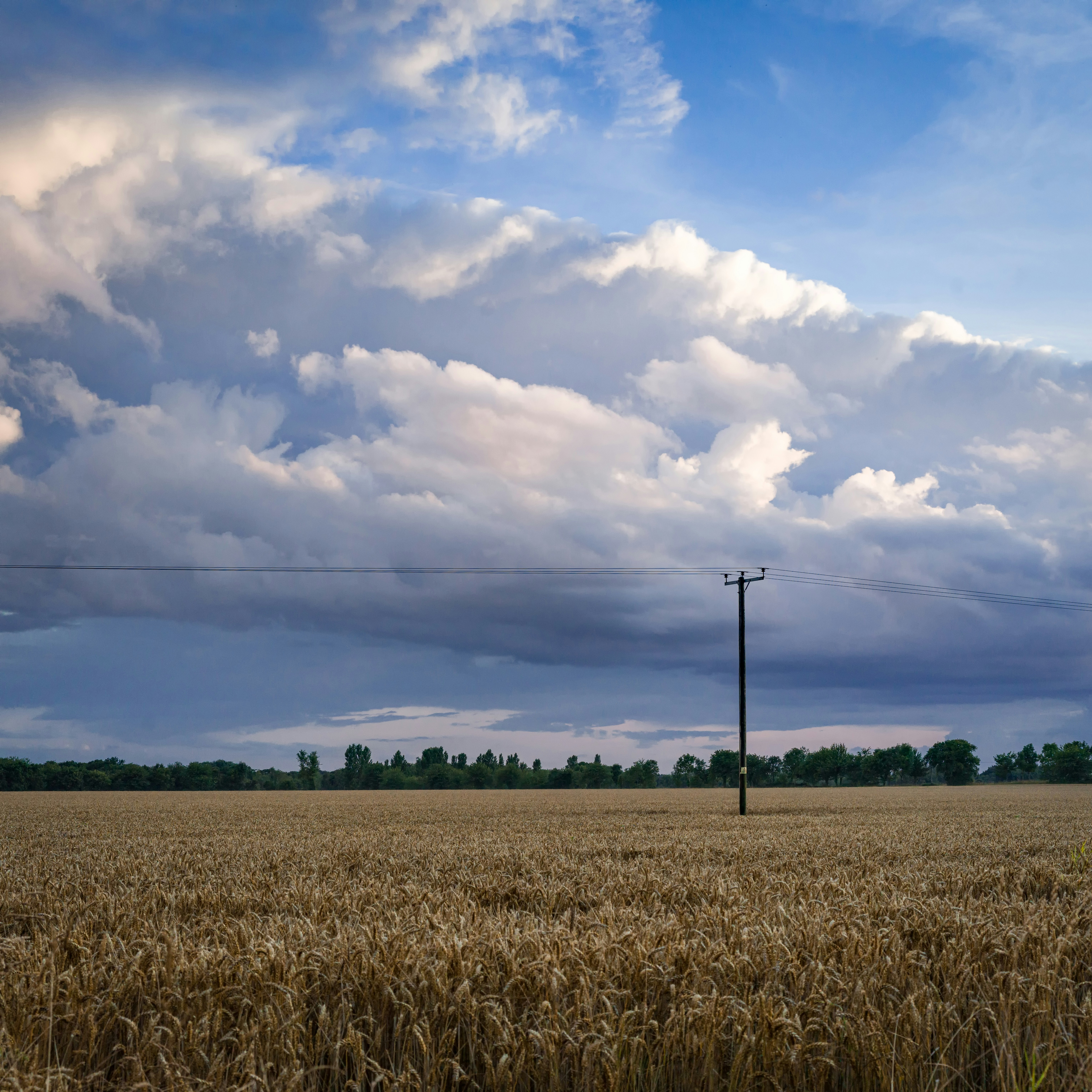 Photo by juliansimpson