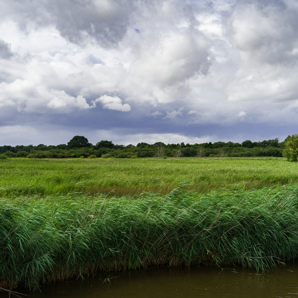 green grass field under cloudy sky during daytime