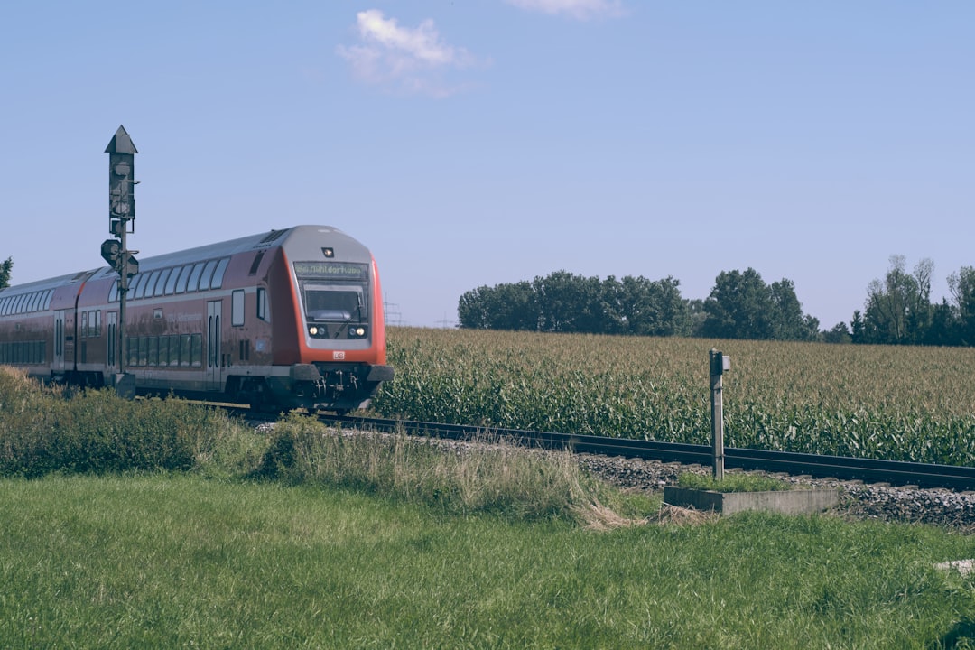 blue and red train on rail tracks during daytime