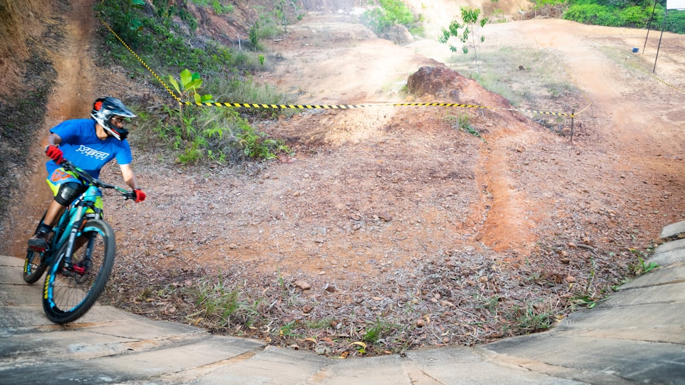 green plant on brown soil